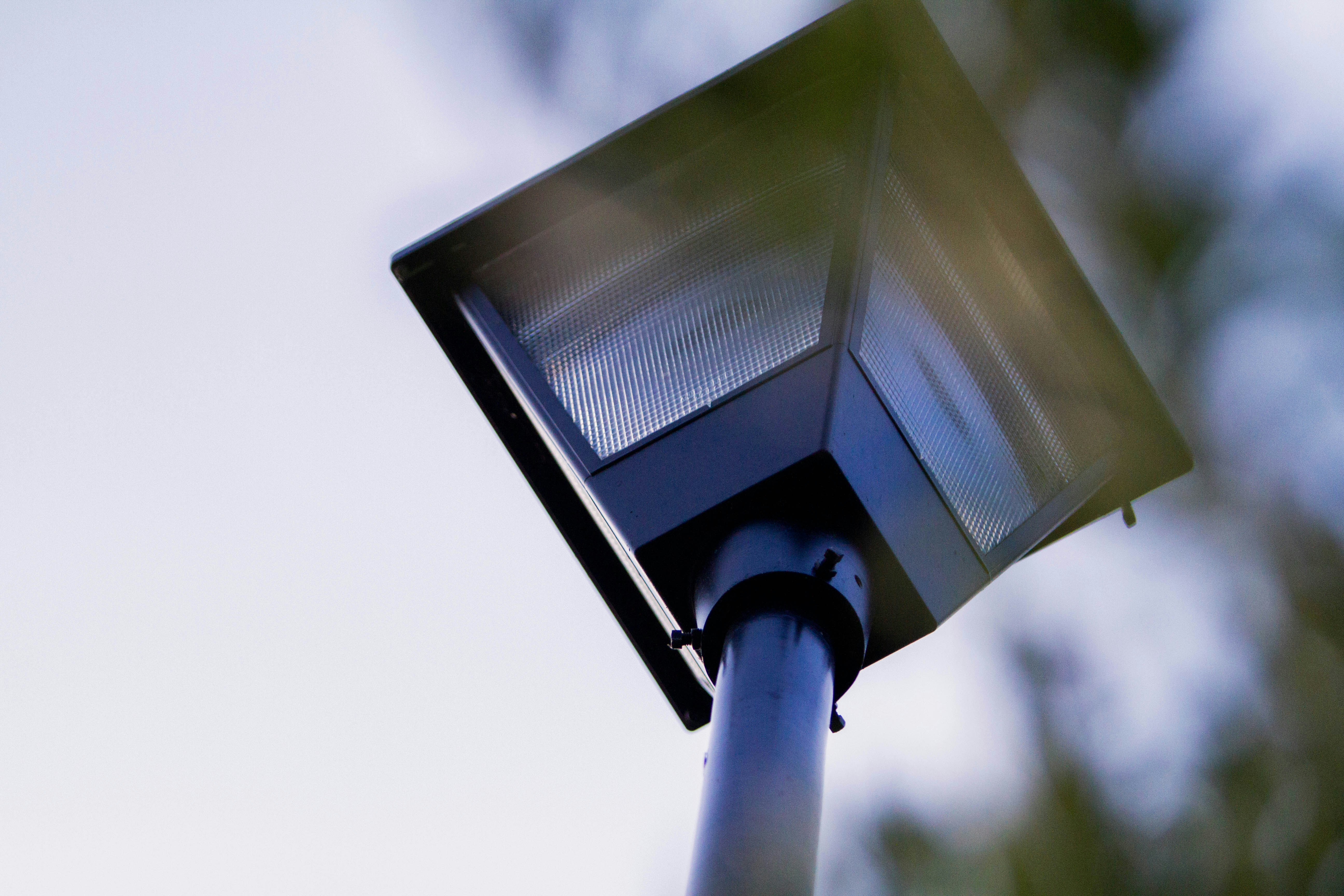 Free Unsplash photo from Madison Watson