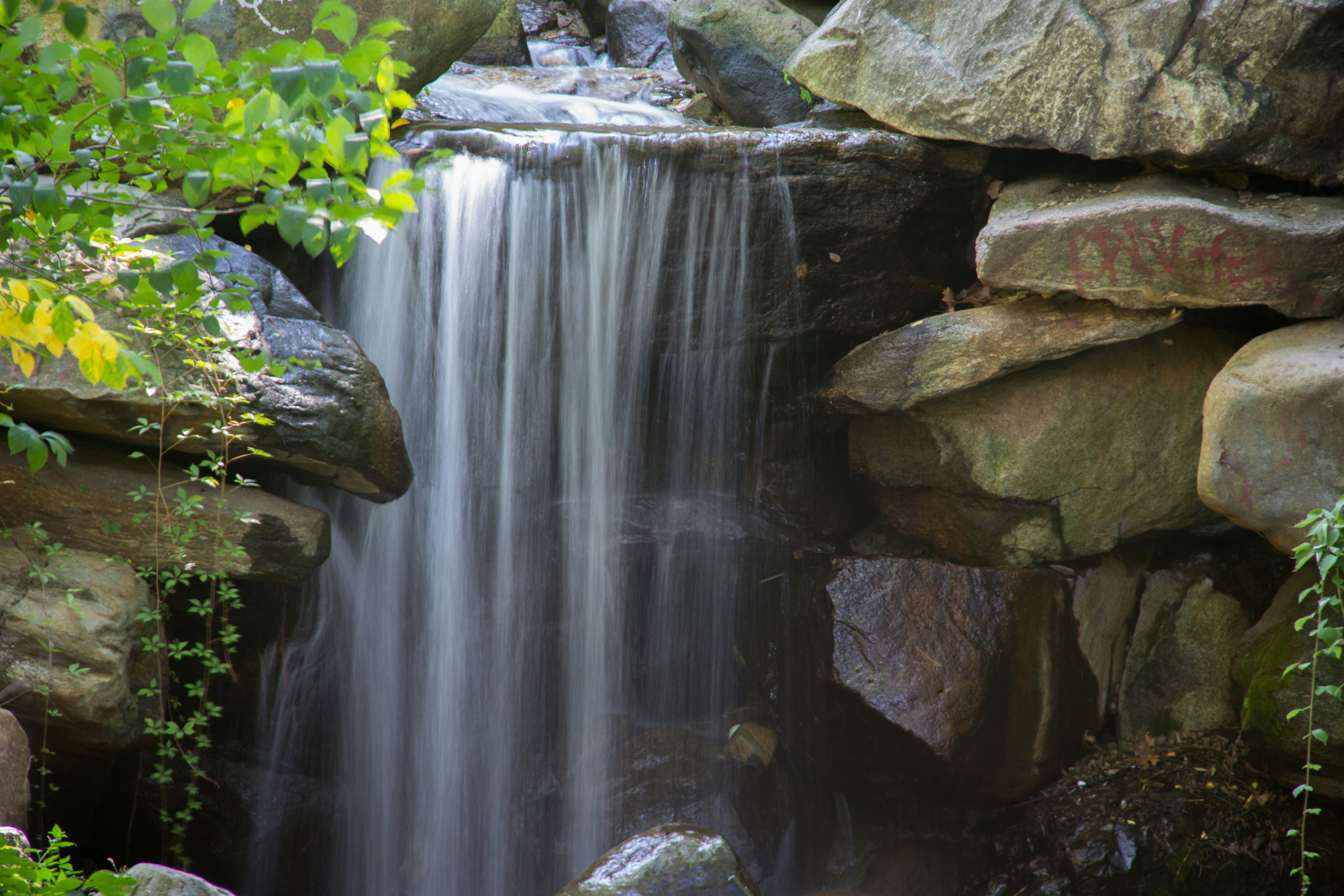 Free Unsplash photo from Niraj Khanal