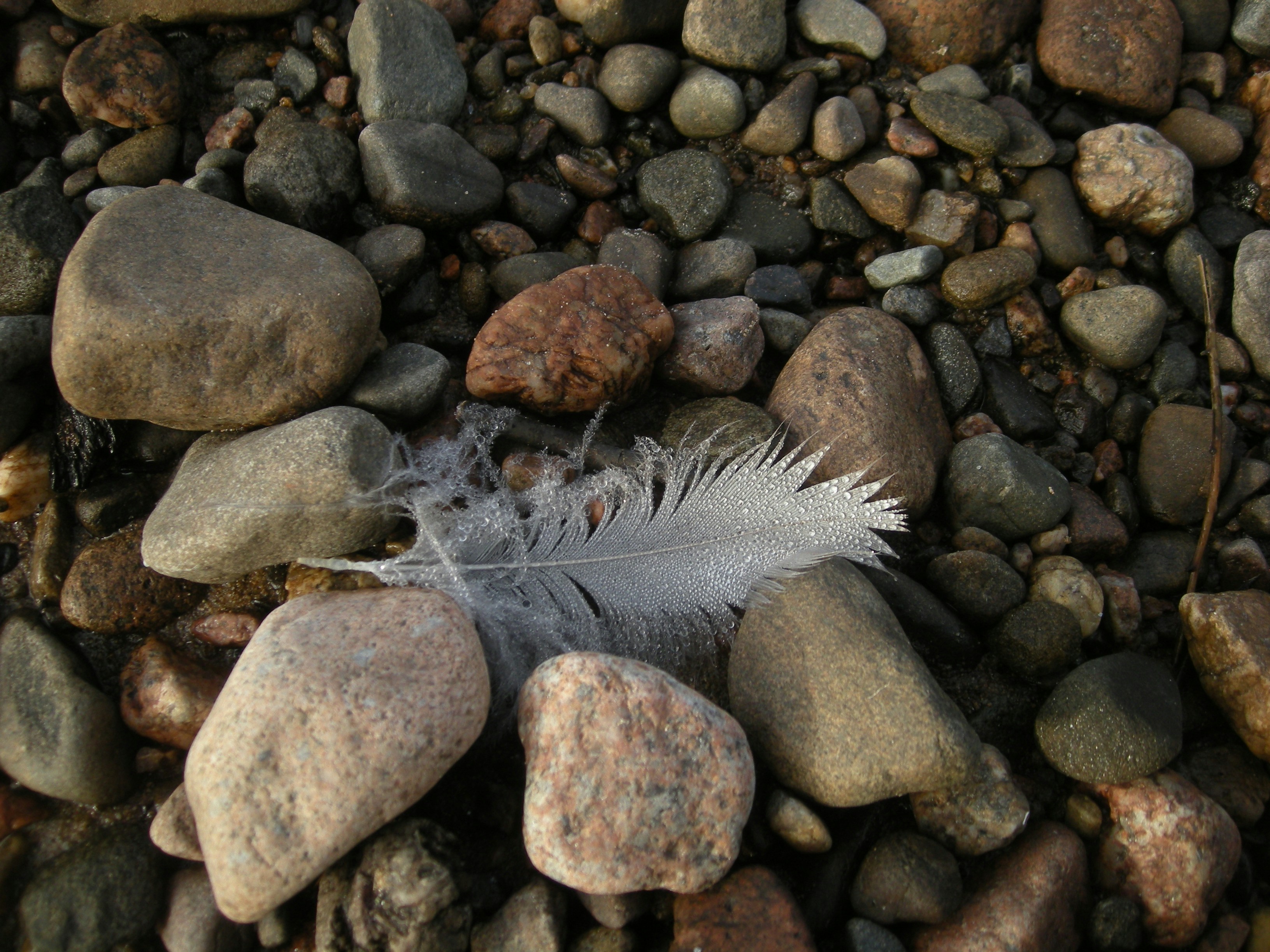 Free Unsplash photo from Elizabeth Atkinson