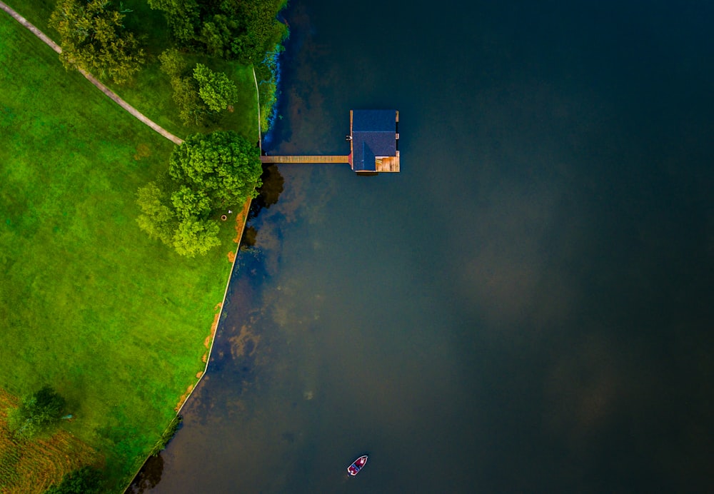 bird's eye view of blue wooden house on body of water near trees