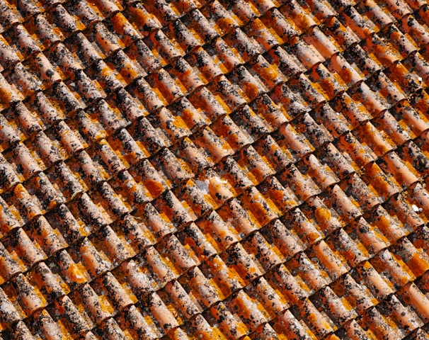 orange-and-black roof shingles