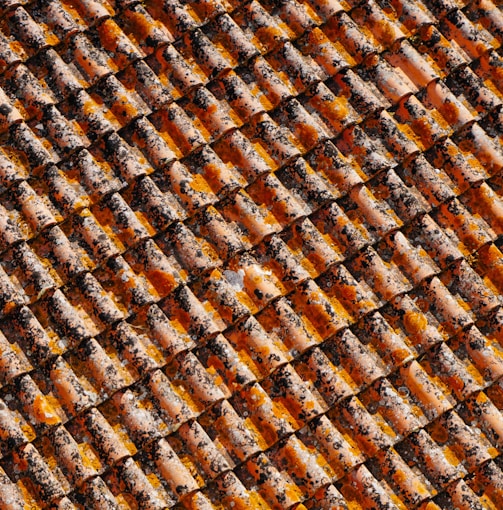 orange-and-black roof shingles