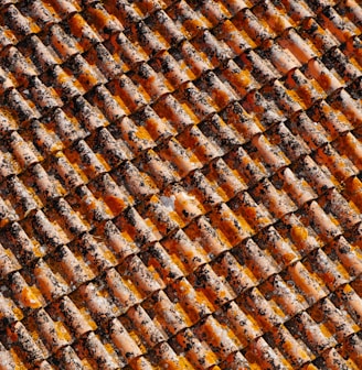 orange-and-black roof shingles