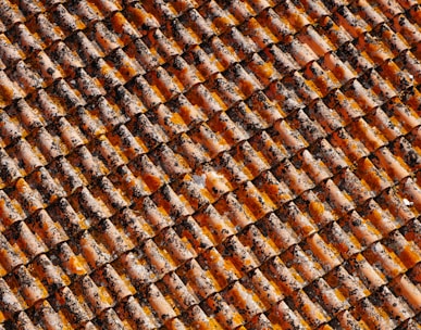 orange-and-black roof shingles