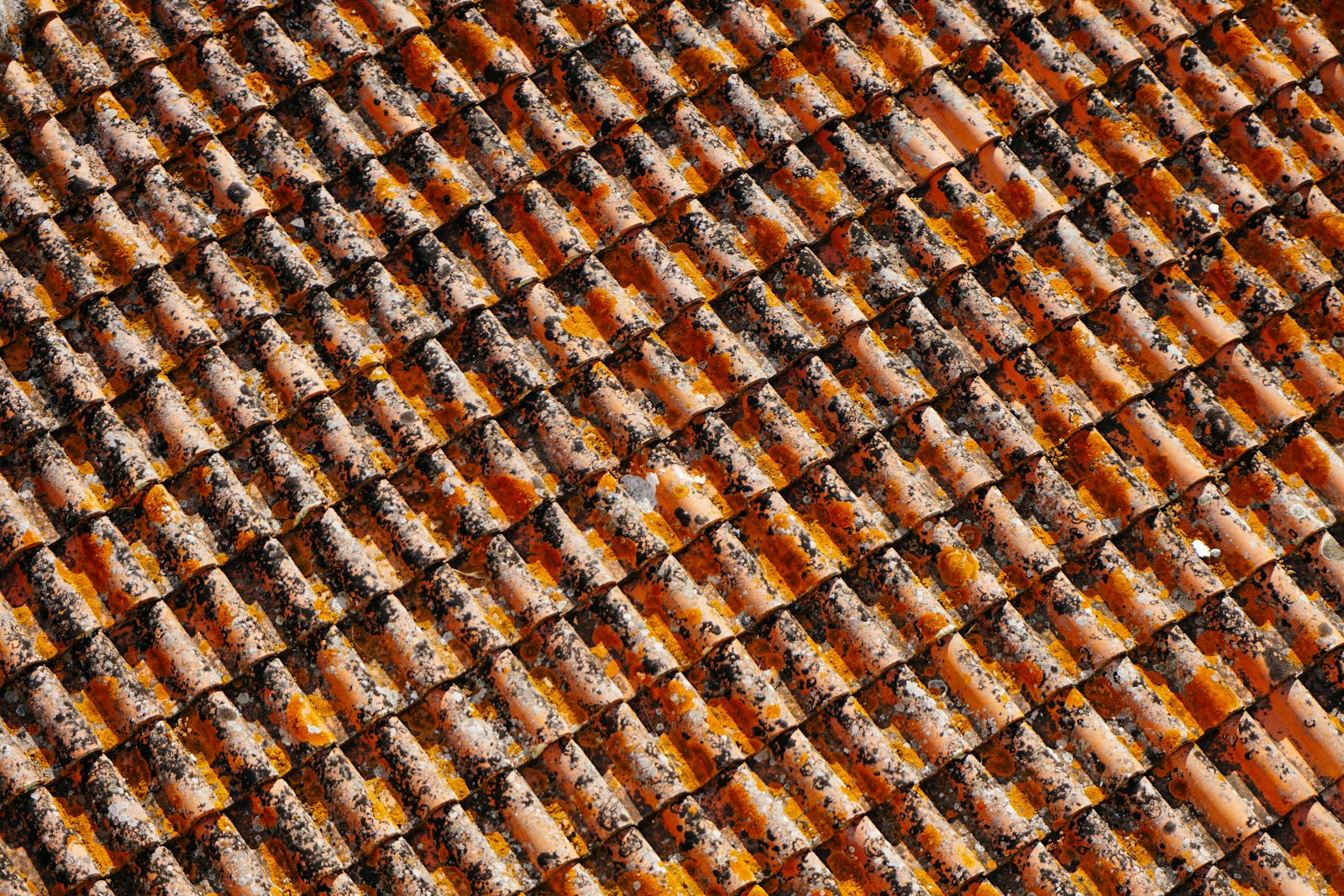 Sony a6000 sample photo. Orange-and-black roof shingles photography
