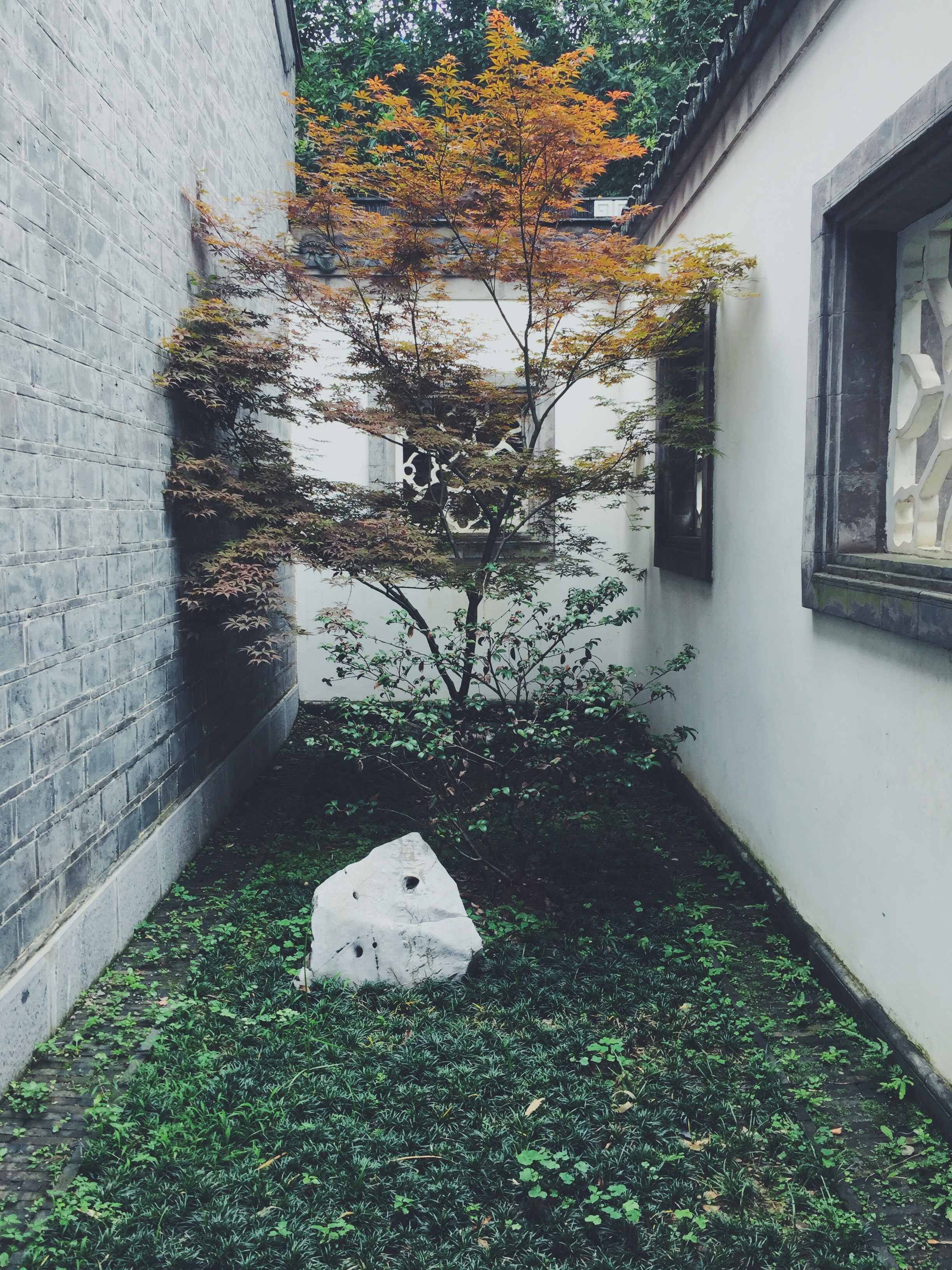 Free Unsplash photo from 金金 陶