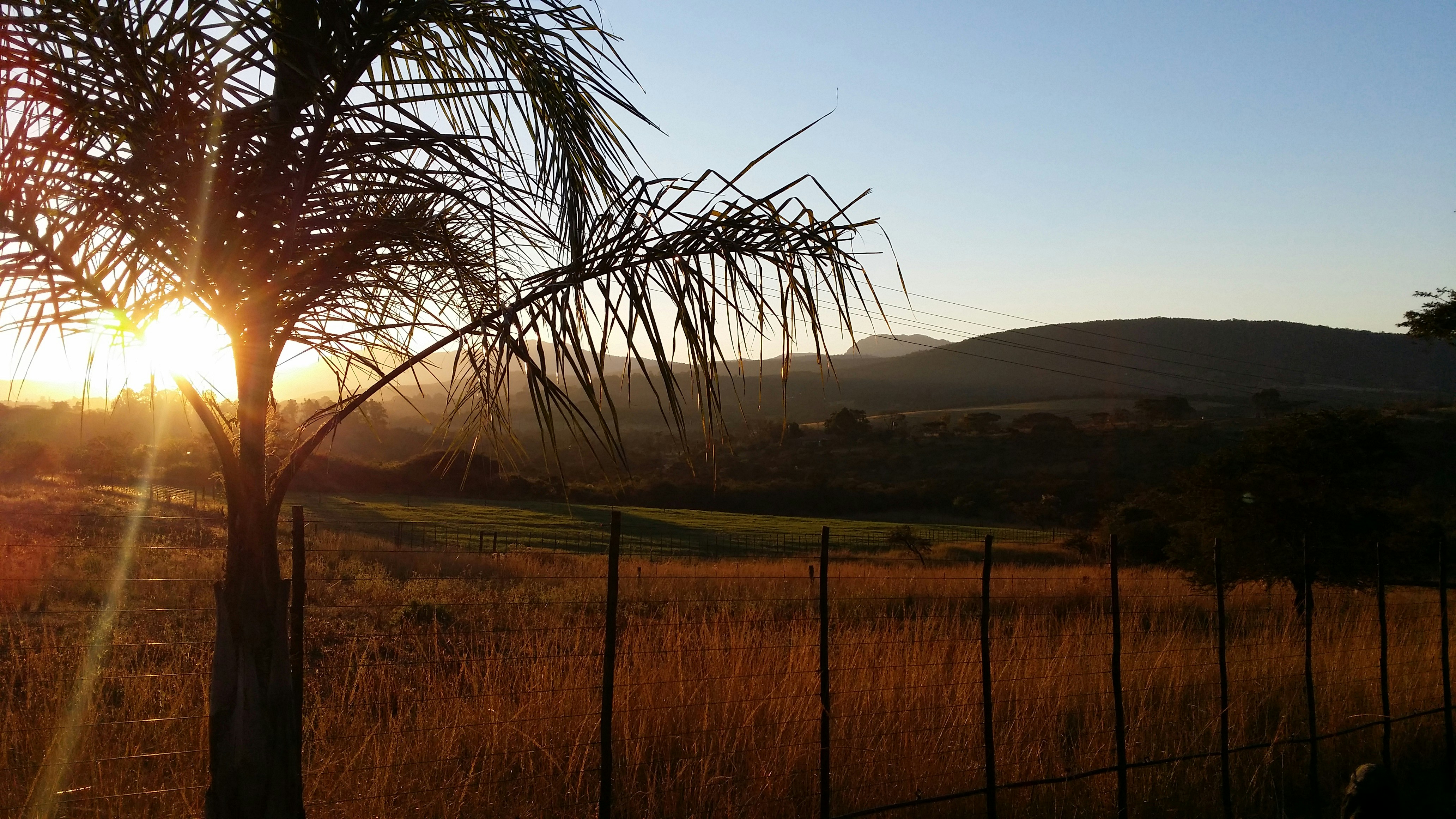 Free Unsplash photo from Carel Pretorius