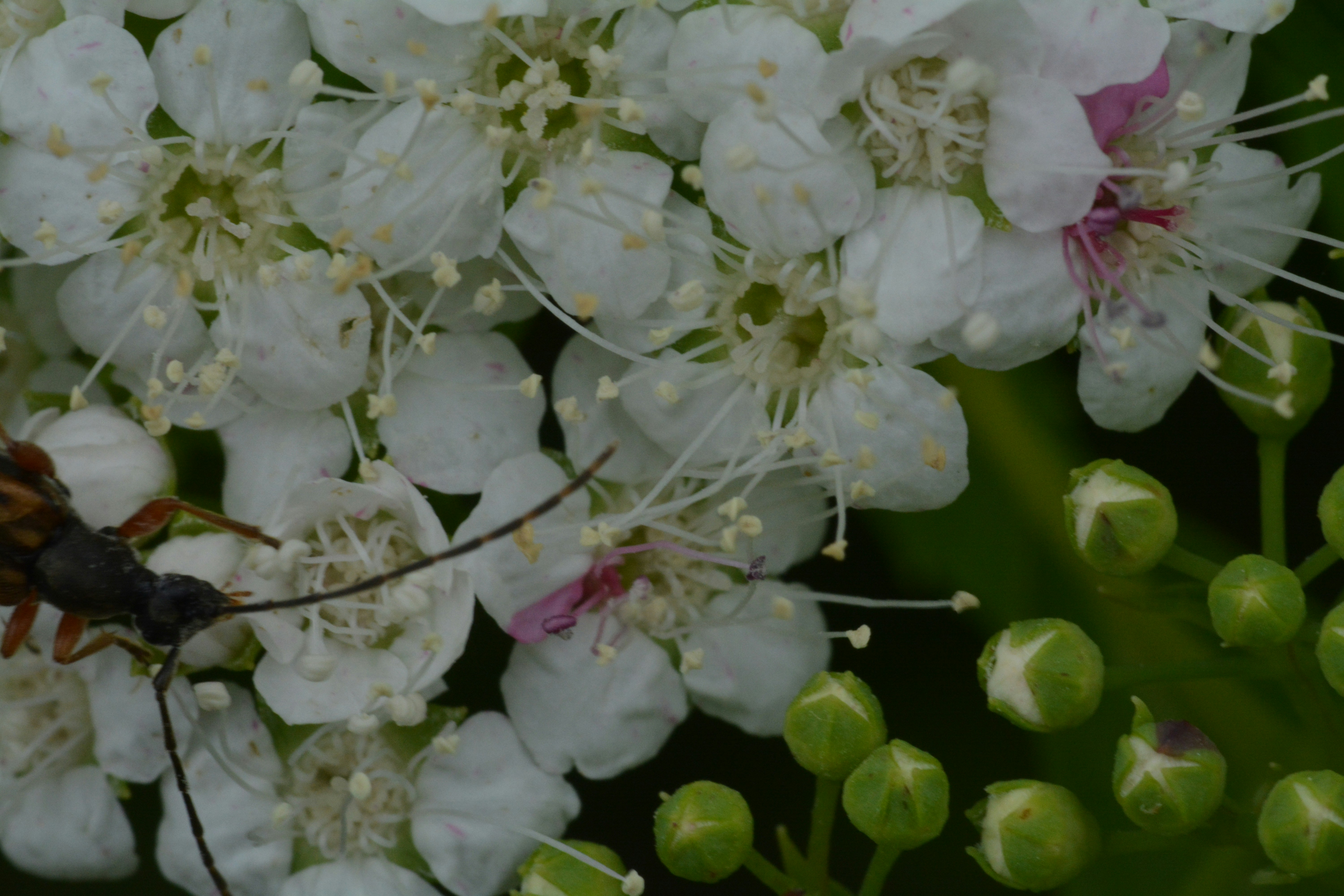 Free Unsplash photo from john bell