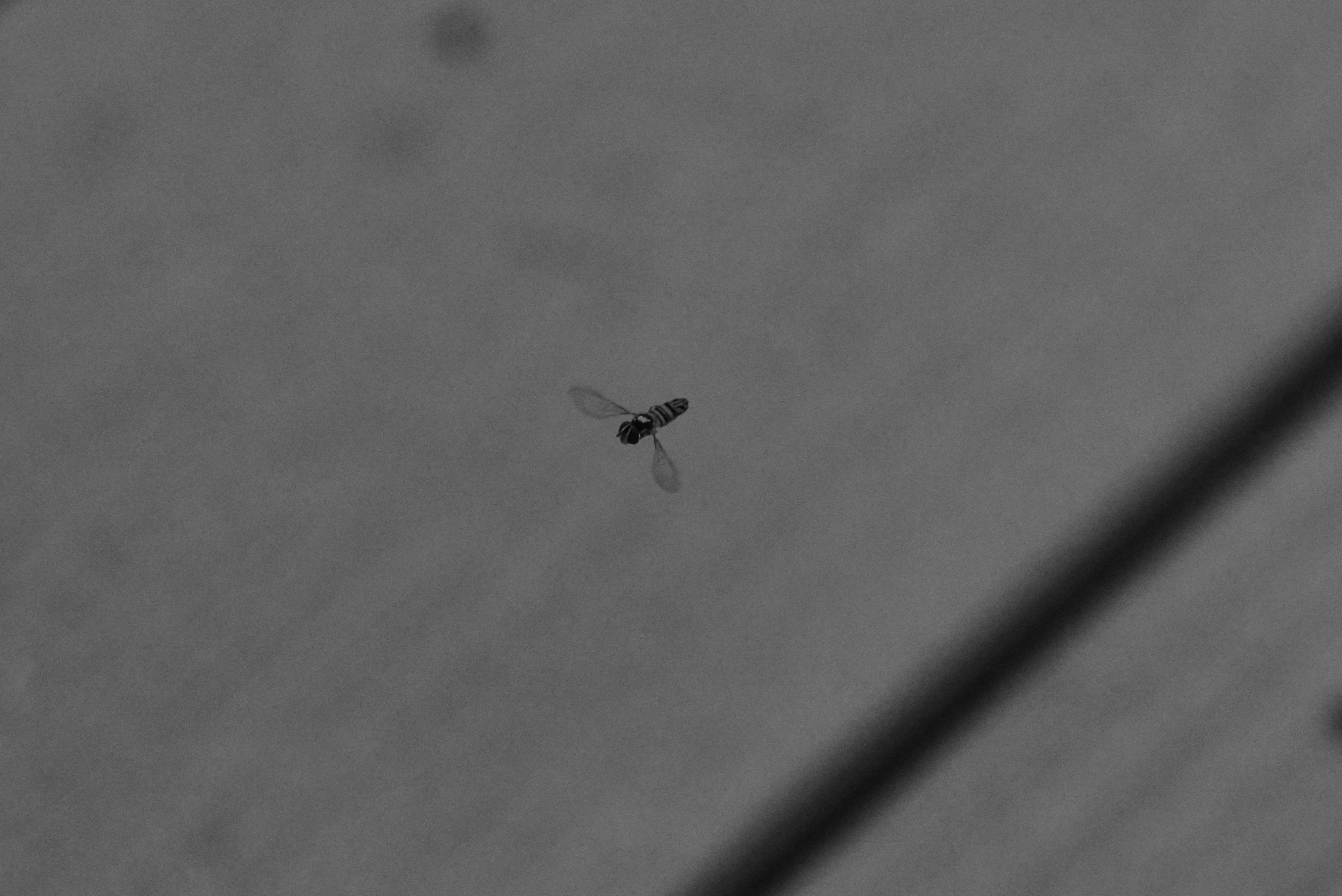 Free Unsplash photo from john bell