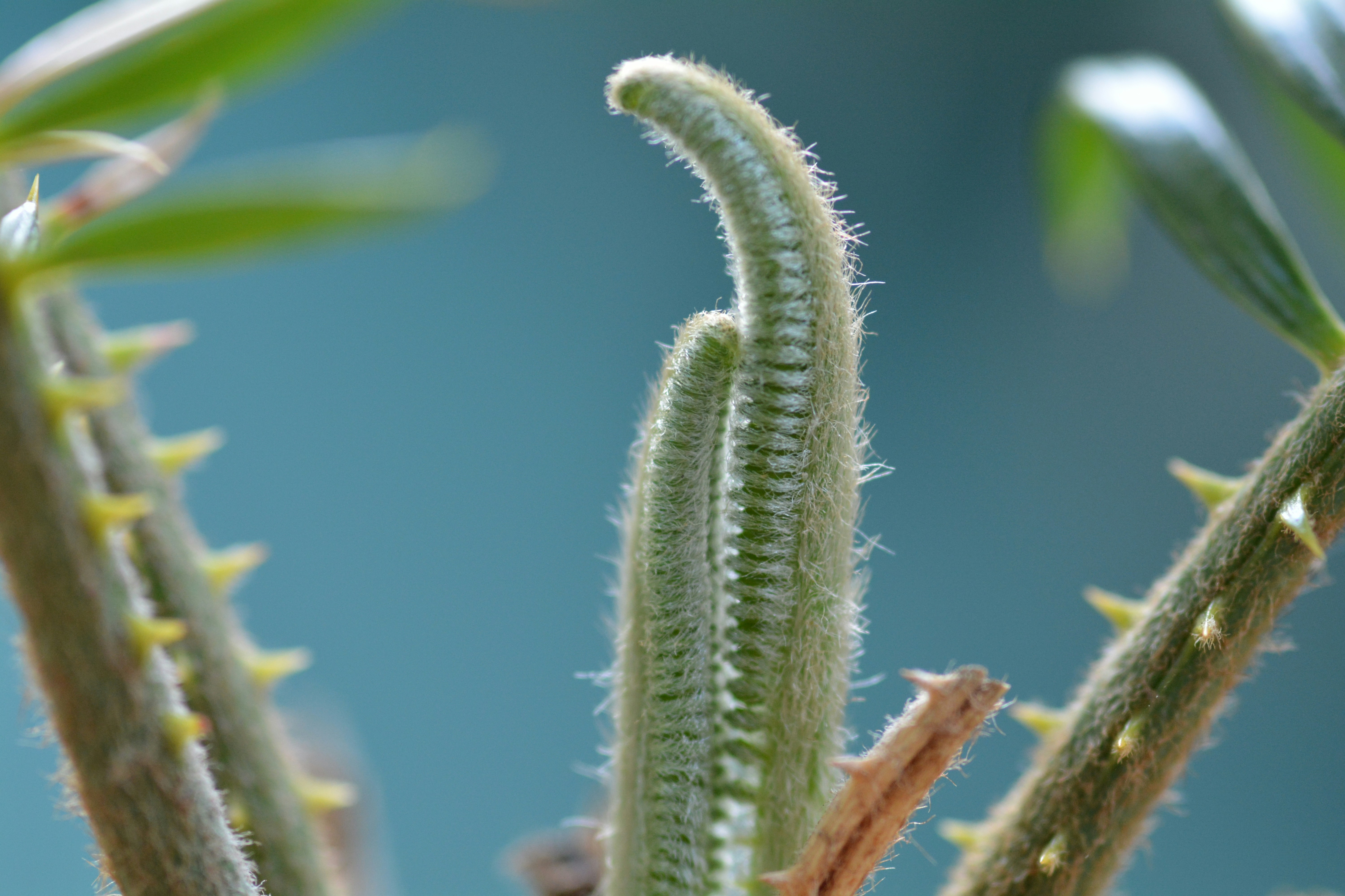 Free Unsplash photo from john bell