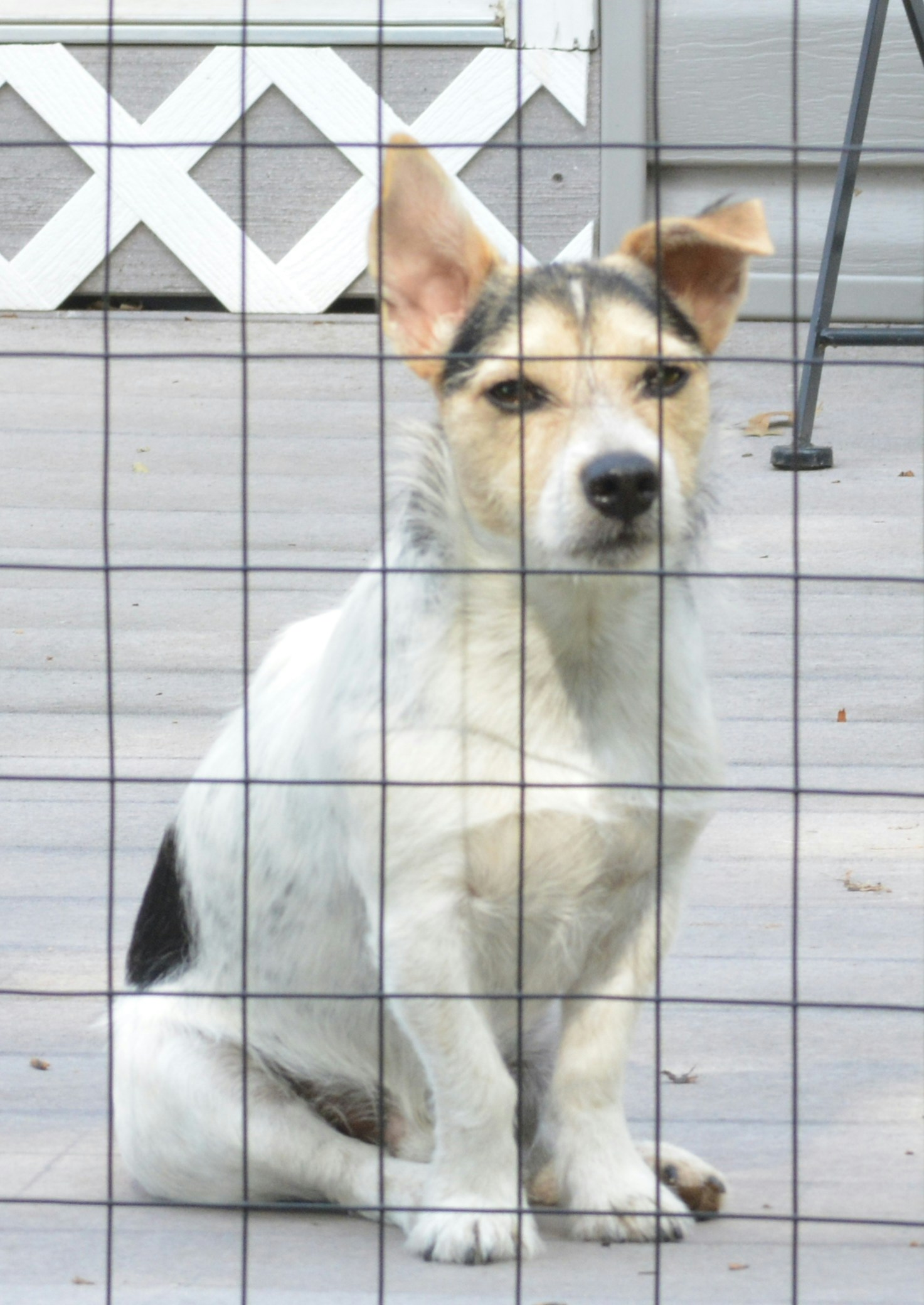 Free Unsplash photo from john bell