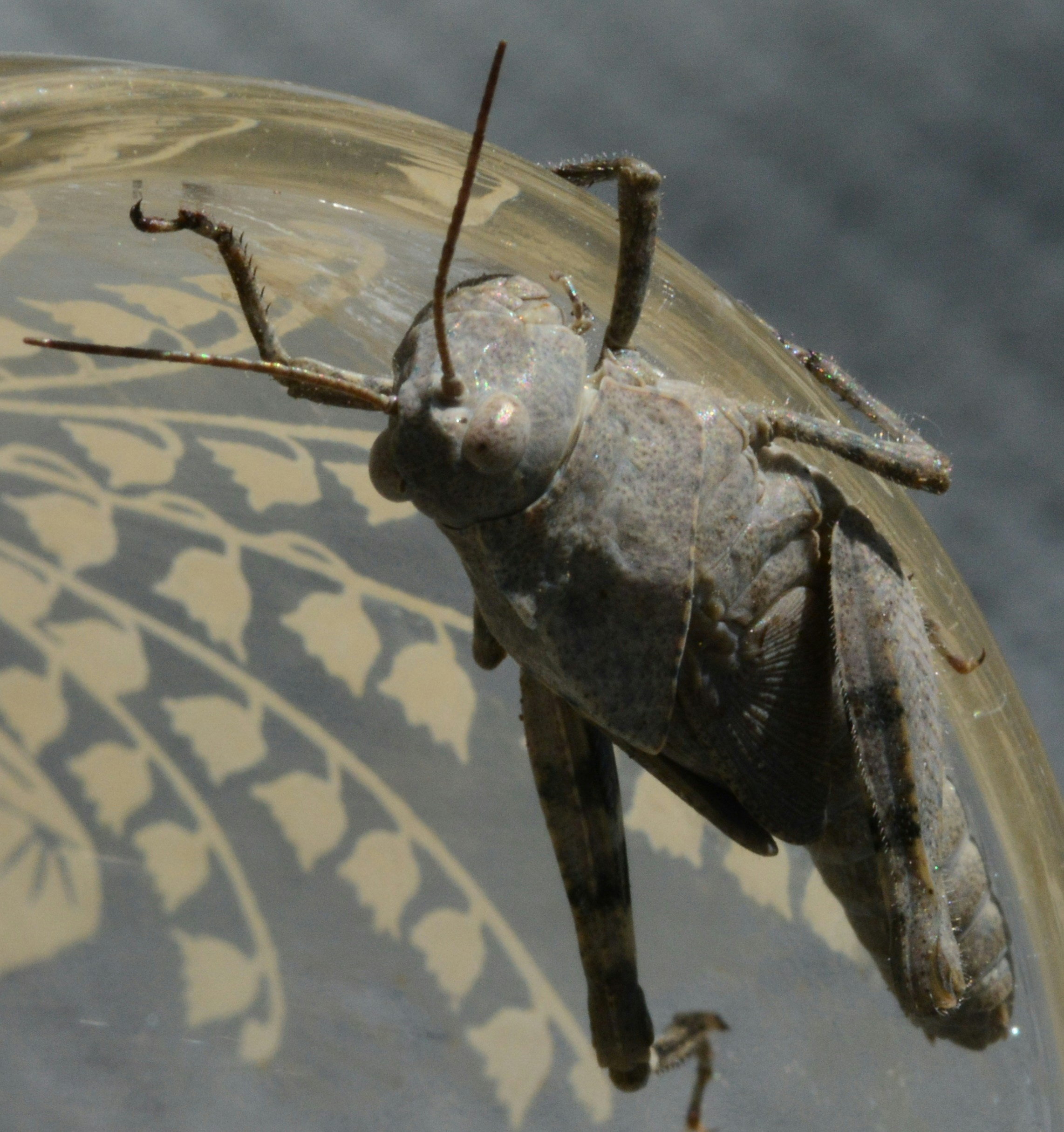 Free Unsplash photo from john bell