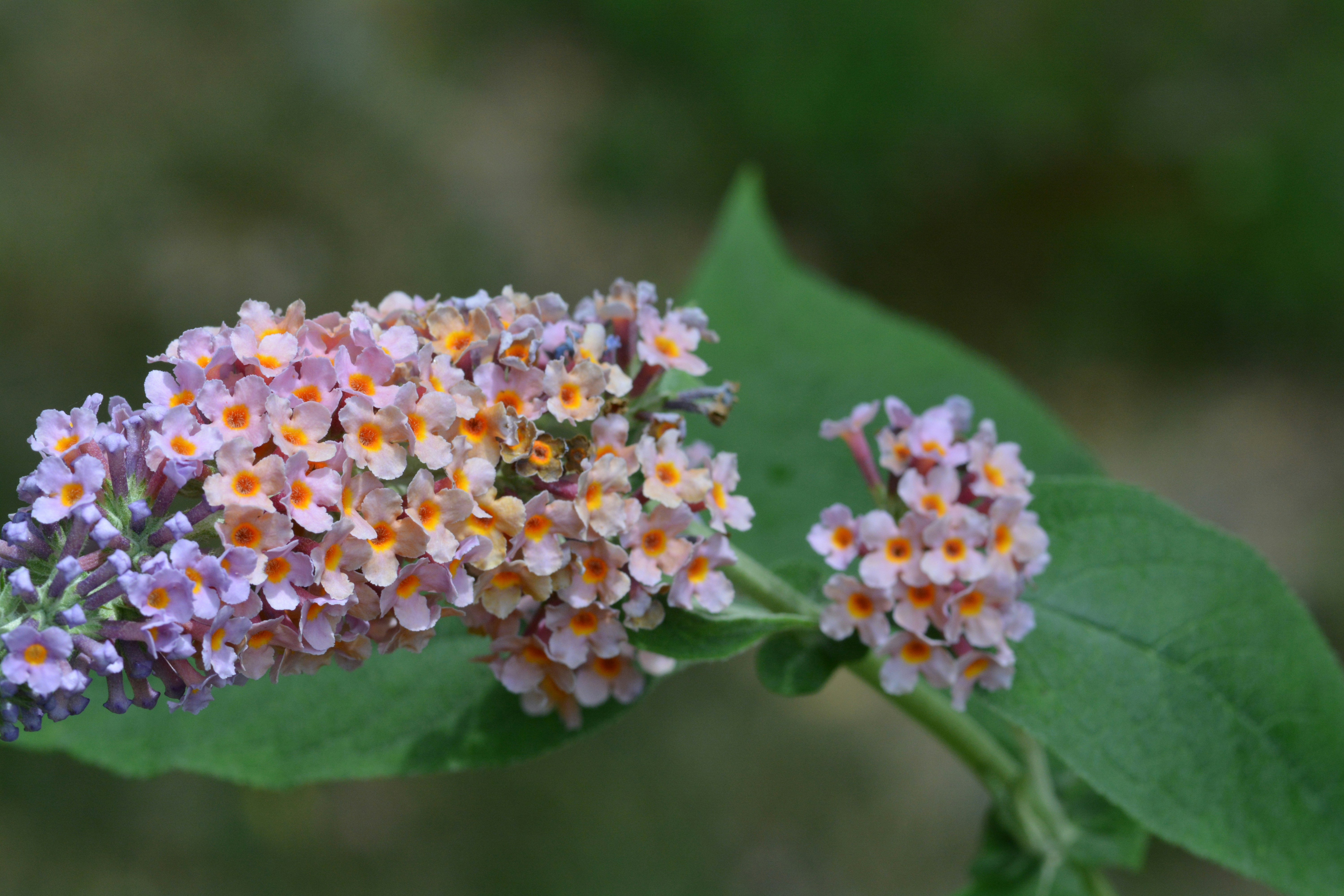 Free Unsplash photo from john bell