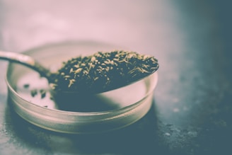 A close-up view of cumin seeds on a spoon placed above a glass petri dish. The scene has a soft, muted tone with a focus on the textures of the seeds.