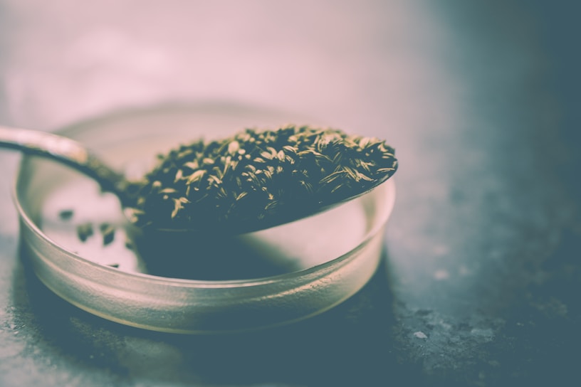 A close-up view of cumin seeds on a spoon placed above a glass petri dish. The scene has a soft, muted tone with a focus on the textures of the seeds.