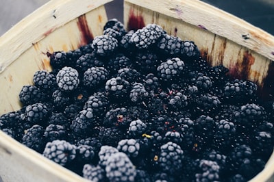 photo of blackberry fruits frozen teams background