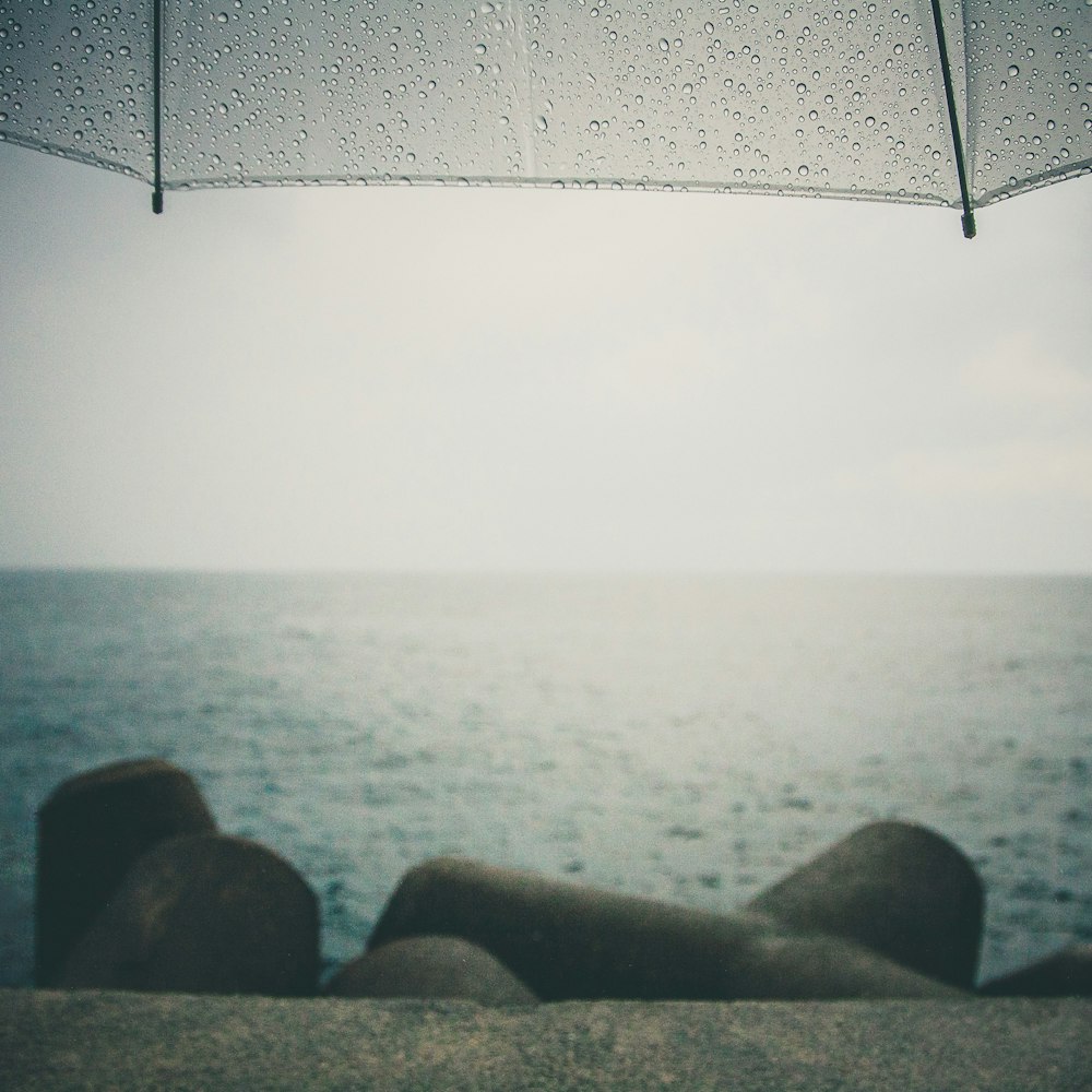 gray umbrella near body of water