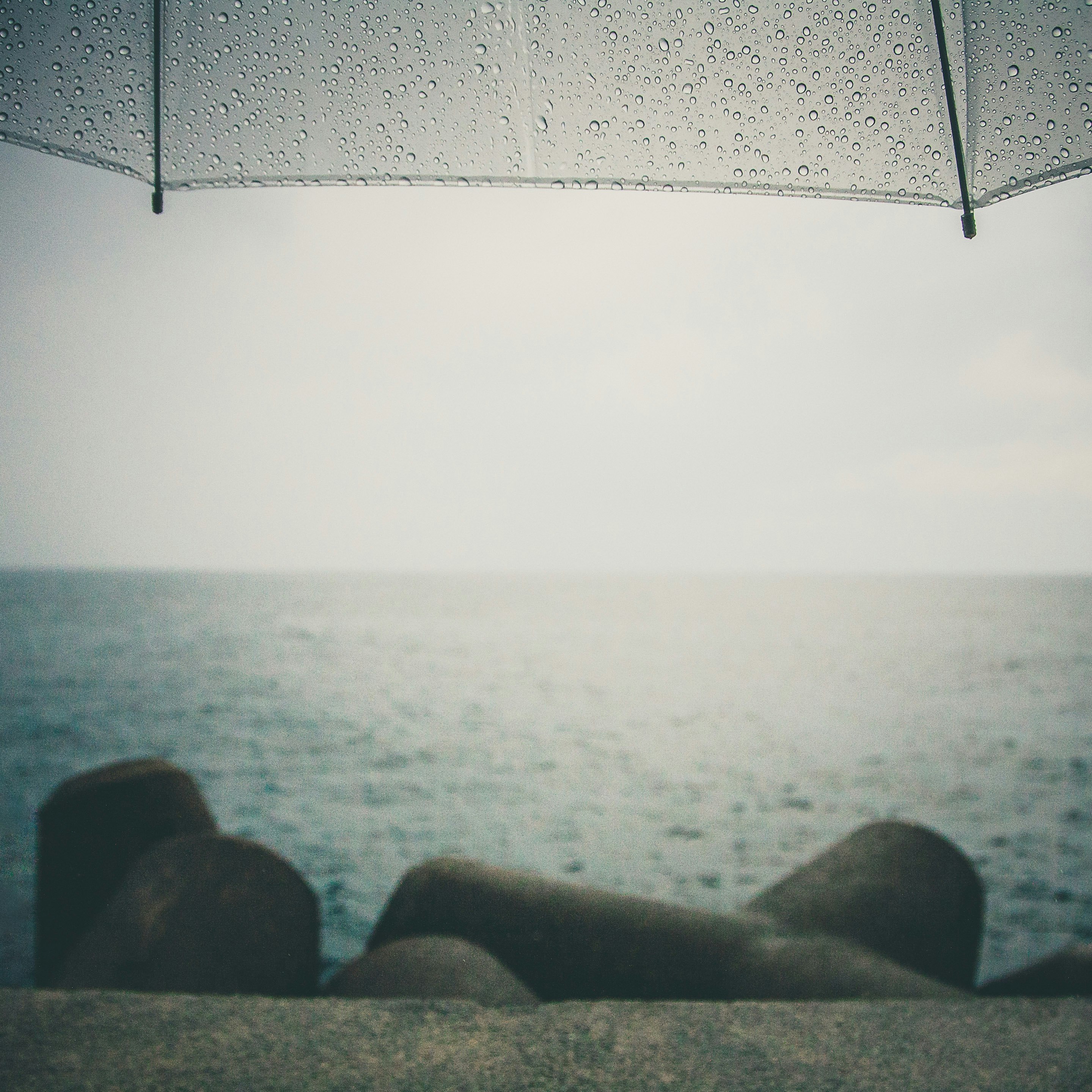 gray umbrella near body of water