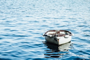 white wooden boat on body of water