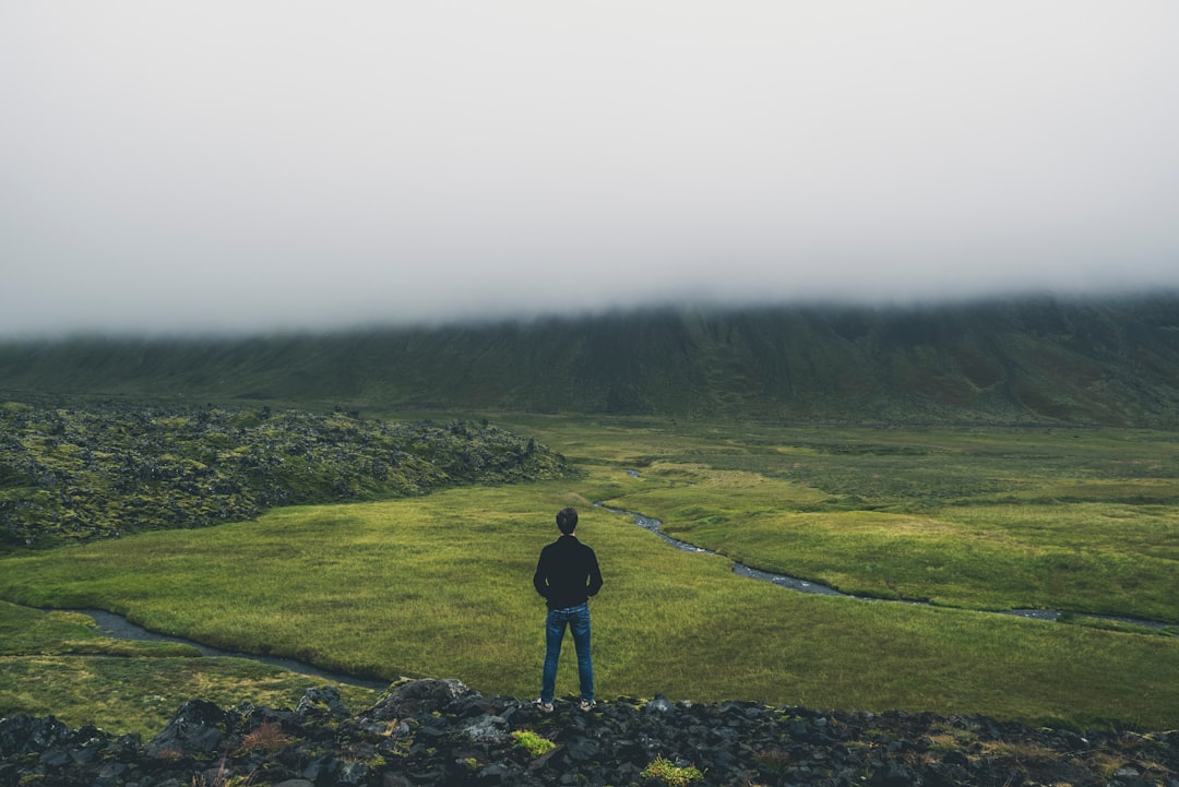 man standing while facing green land