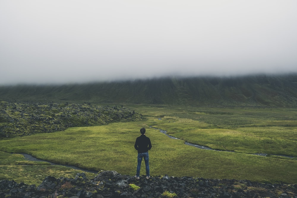 man standing while facing green land