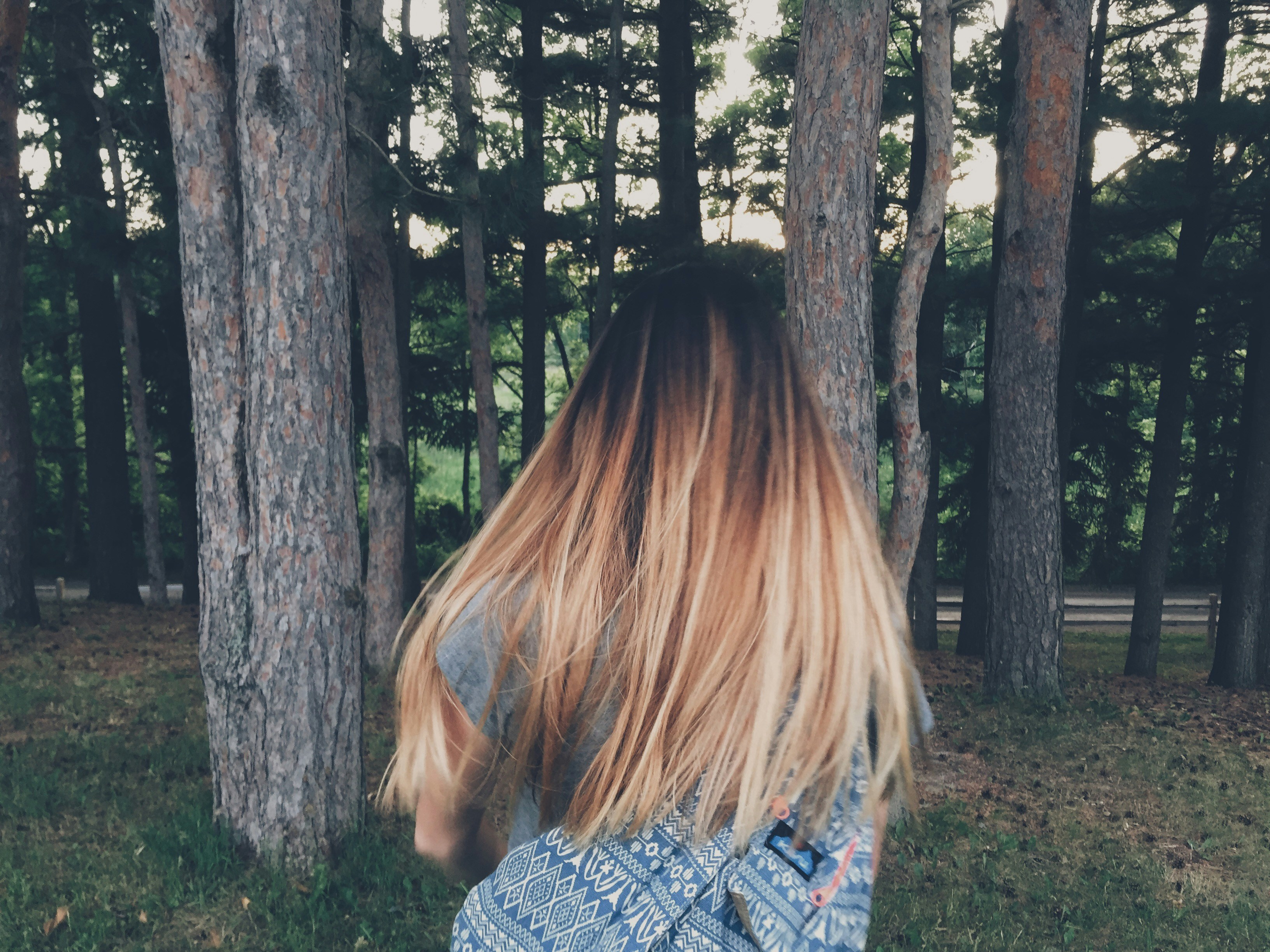 Free Unsplash photo from Isabel Ulm