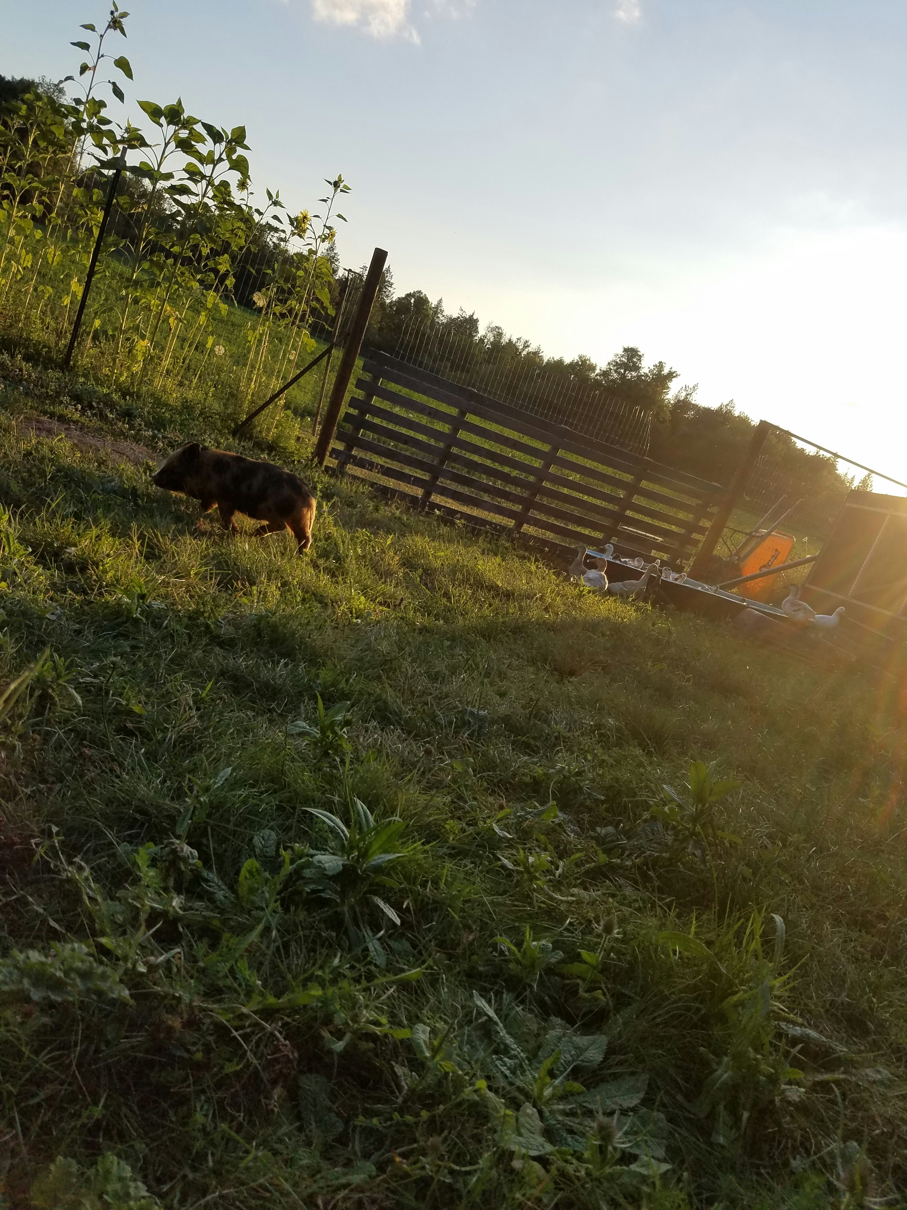 Free Unsplash photo from Emily Winner