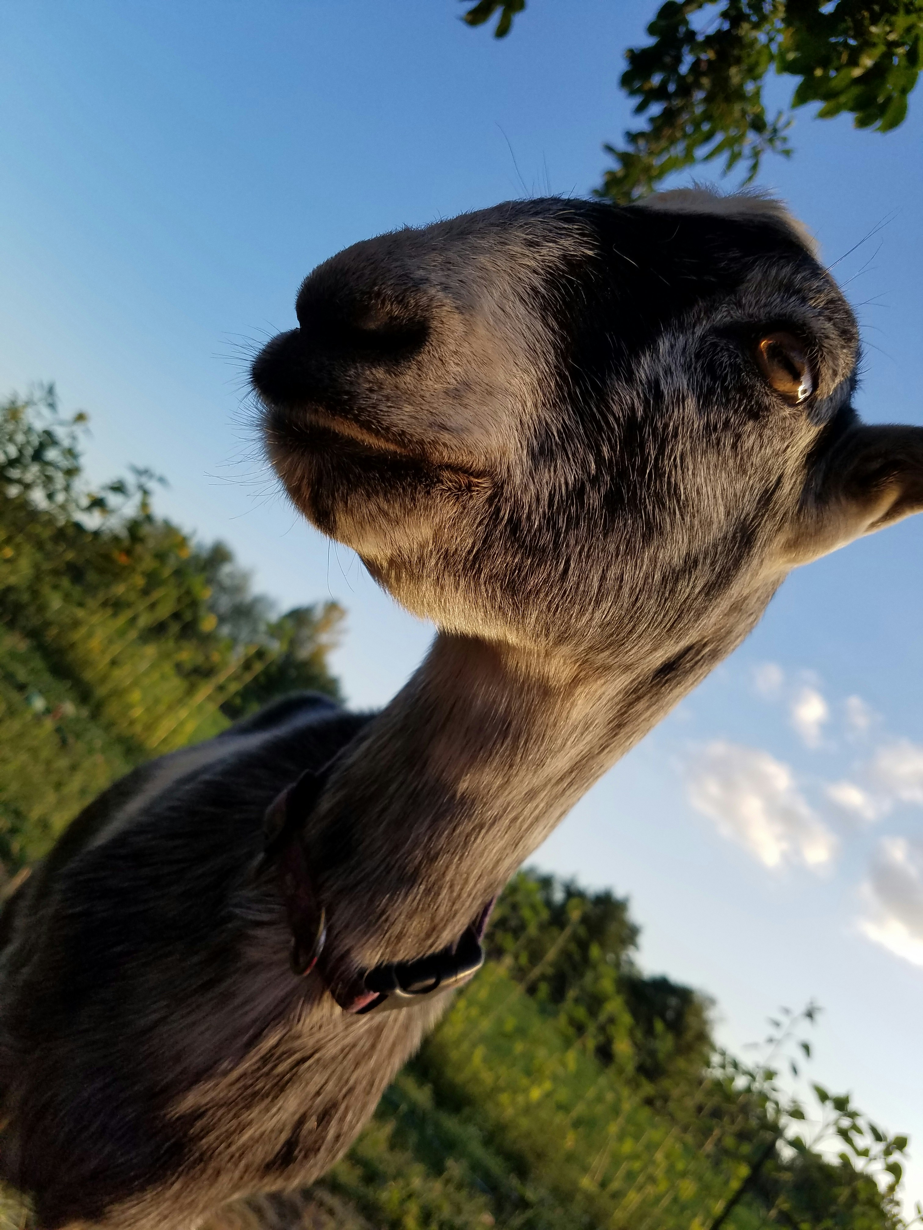 Free Unsplash photo from Emily Winner