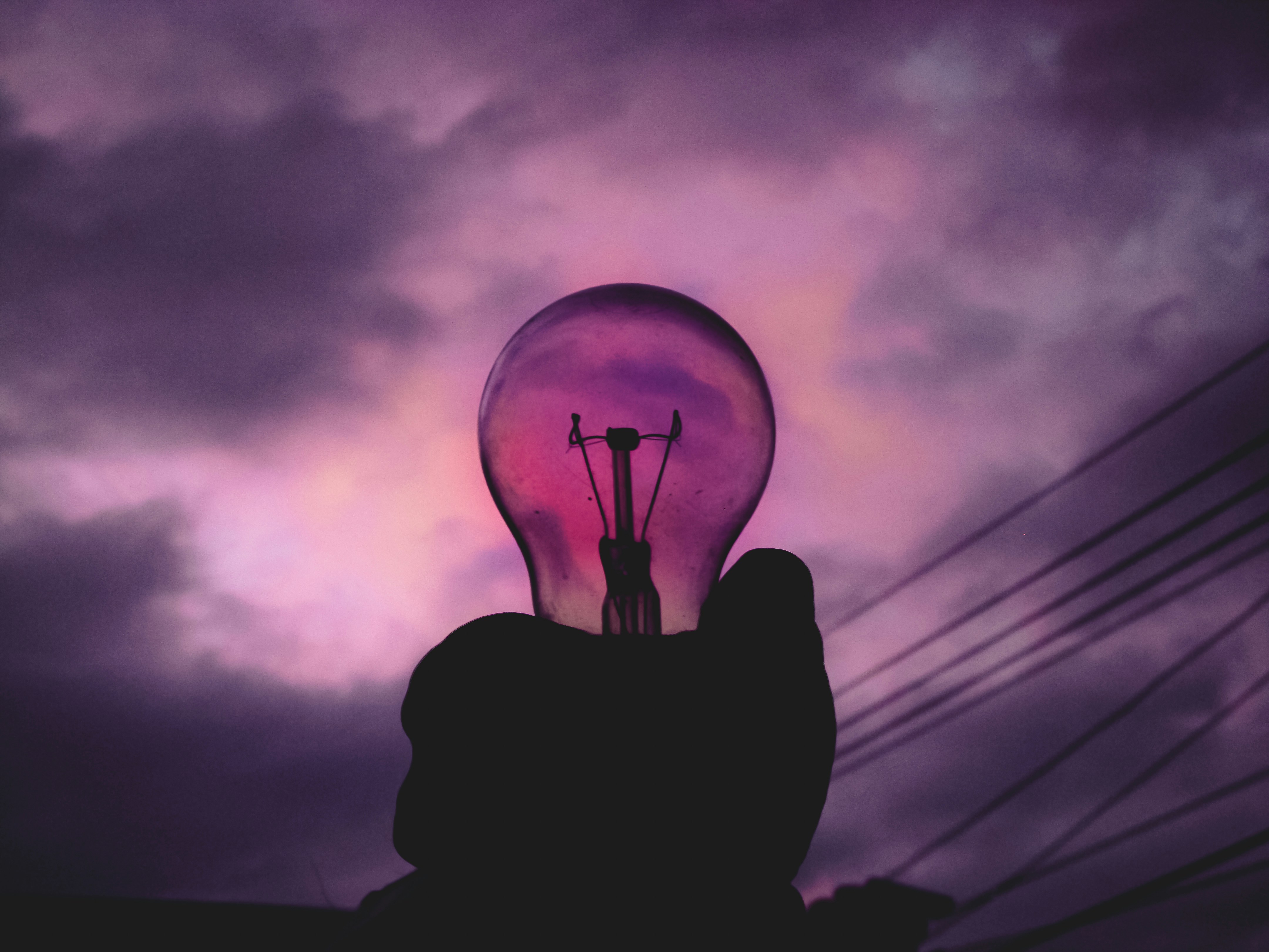 Free Unsplash photo from Carlos Pinto