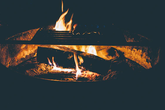 A rustic campfire glowing warmly in the twilight, surrounded by forest greenery and cooking gear.