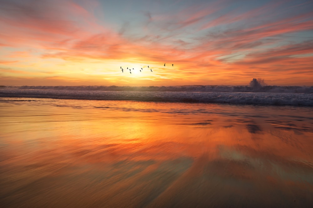 shoreline during golden hour