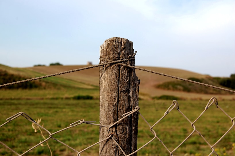 Close-up of galvanized steel farm fence tightly secured with cemented iron posts under bright sunlight