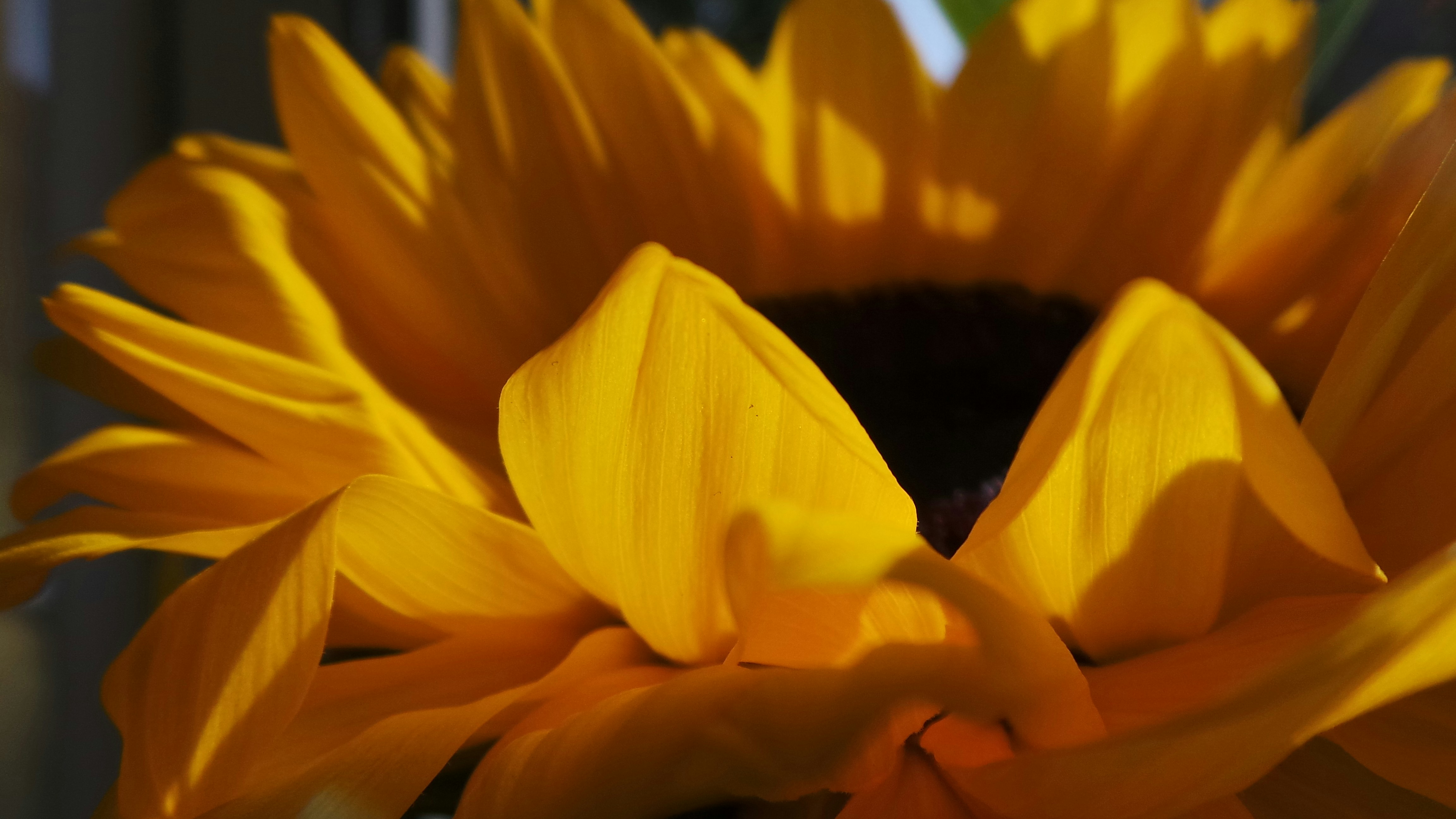 Free Unsplash photo from Agnieszka Chrostowska