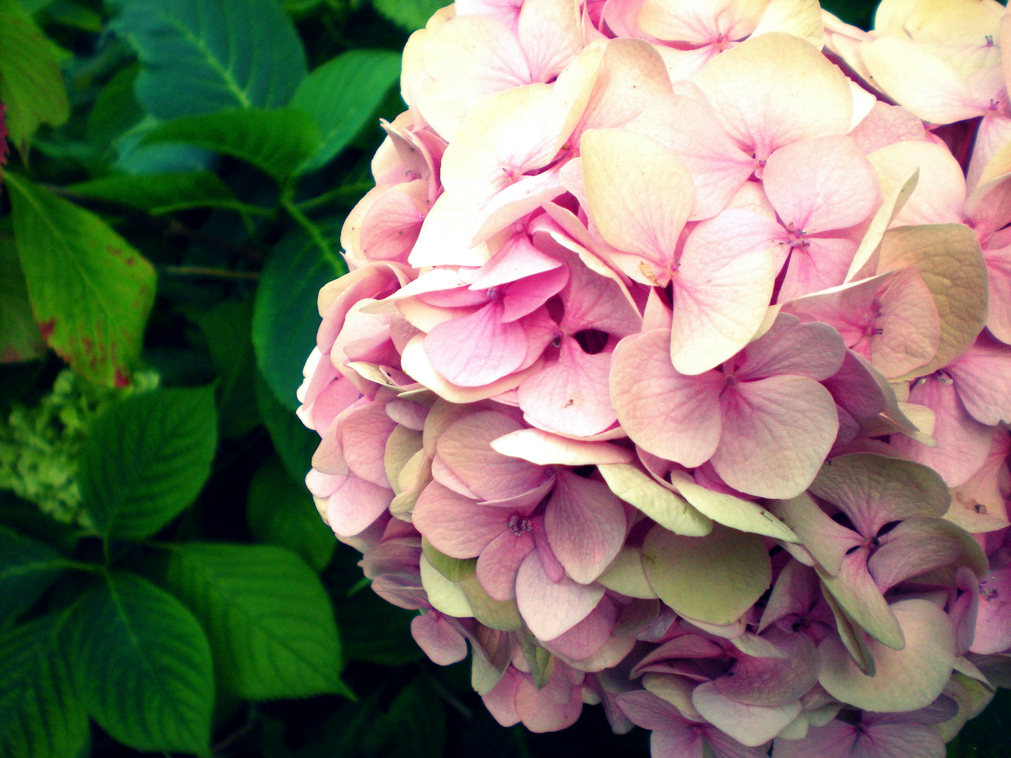 Free Unsplash photo from Agnieszka Chrostowska