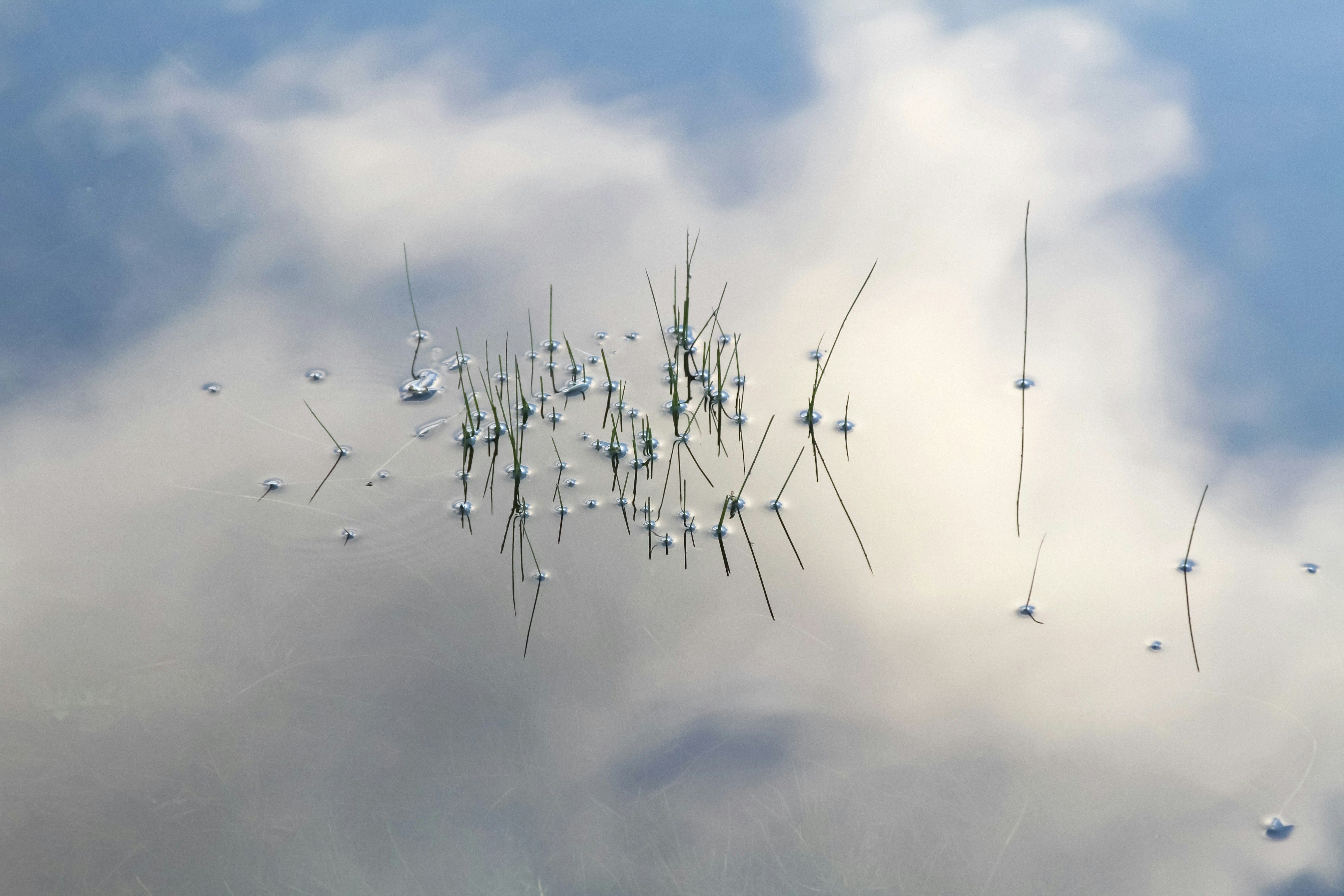 Free Unsplash photo from Steinar Engeland