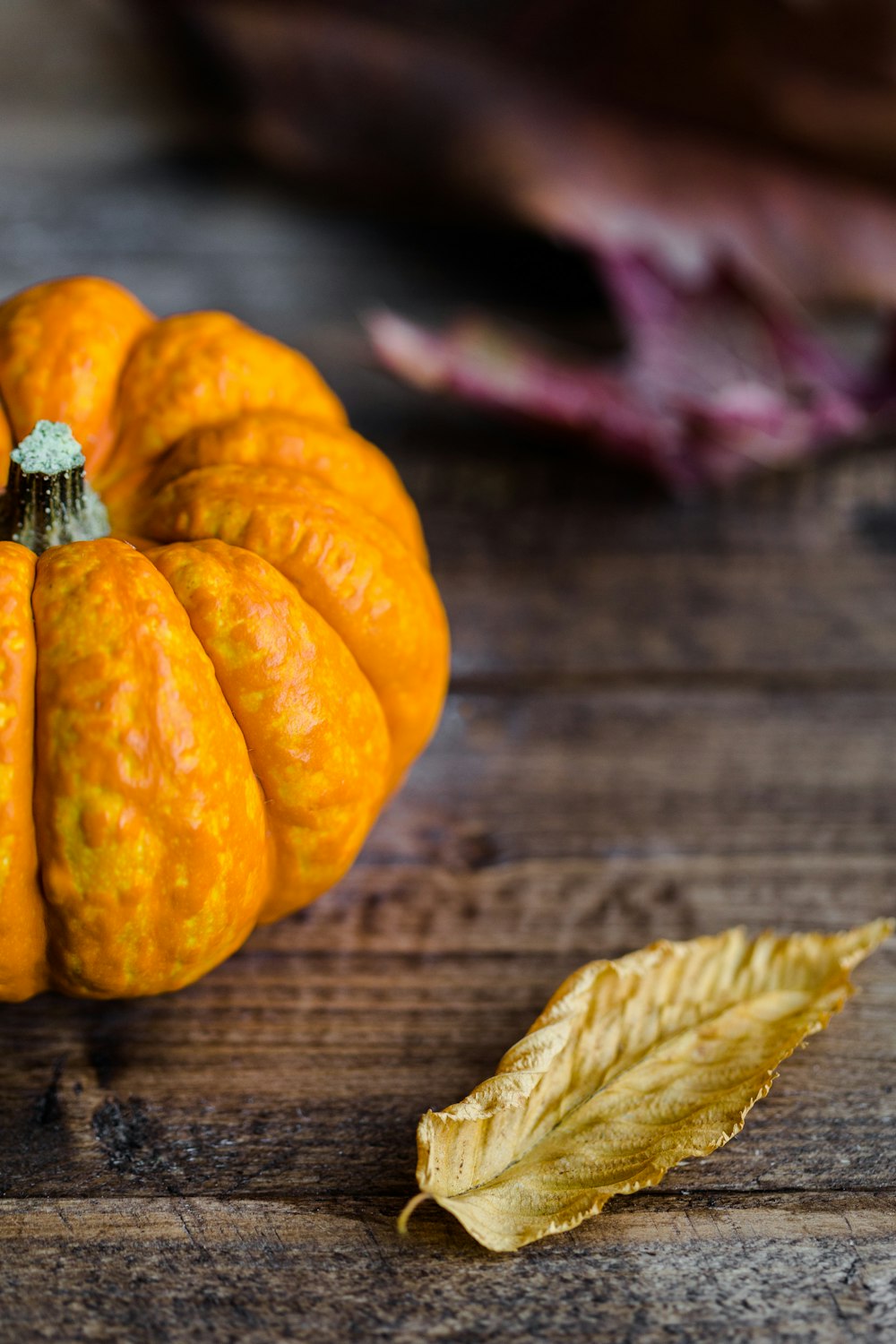 Orangenkürbis neben braunem getrocknetem Blatt