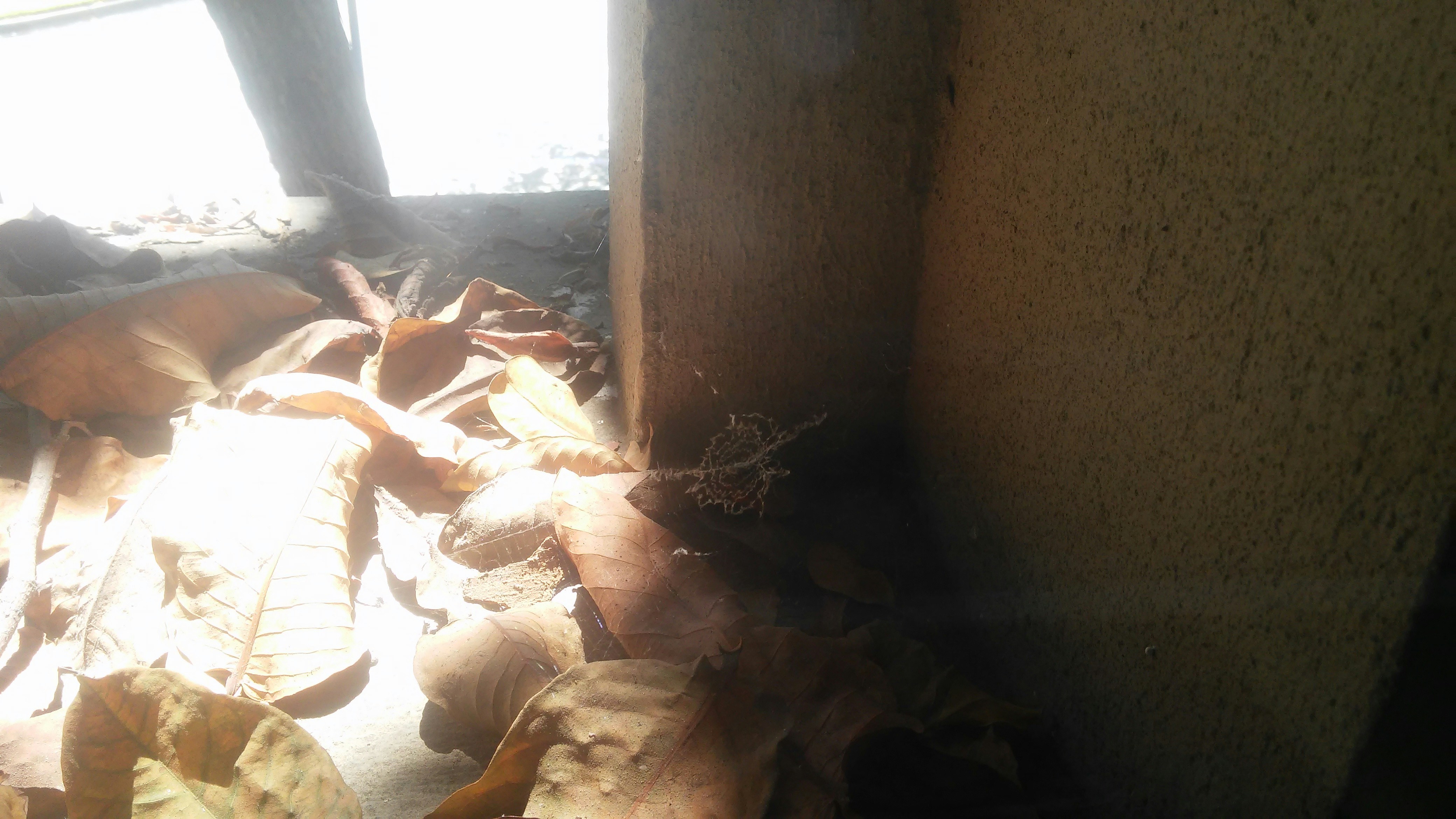 Free Unsplash photo from Dayse Villegas