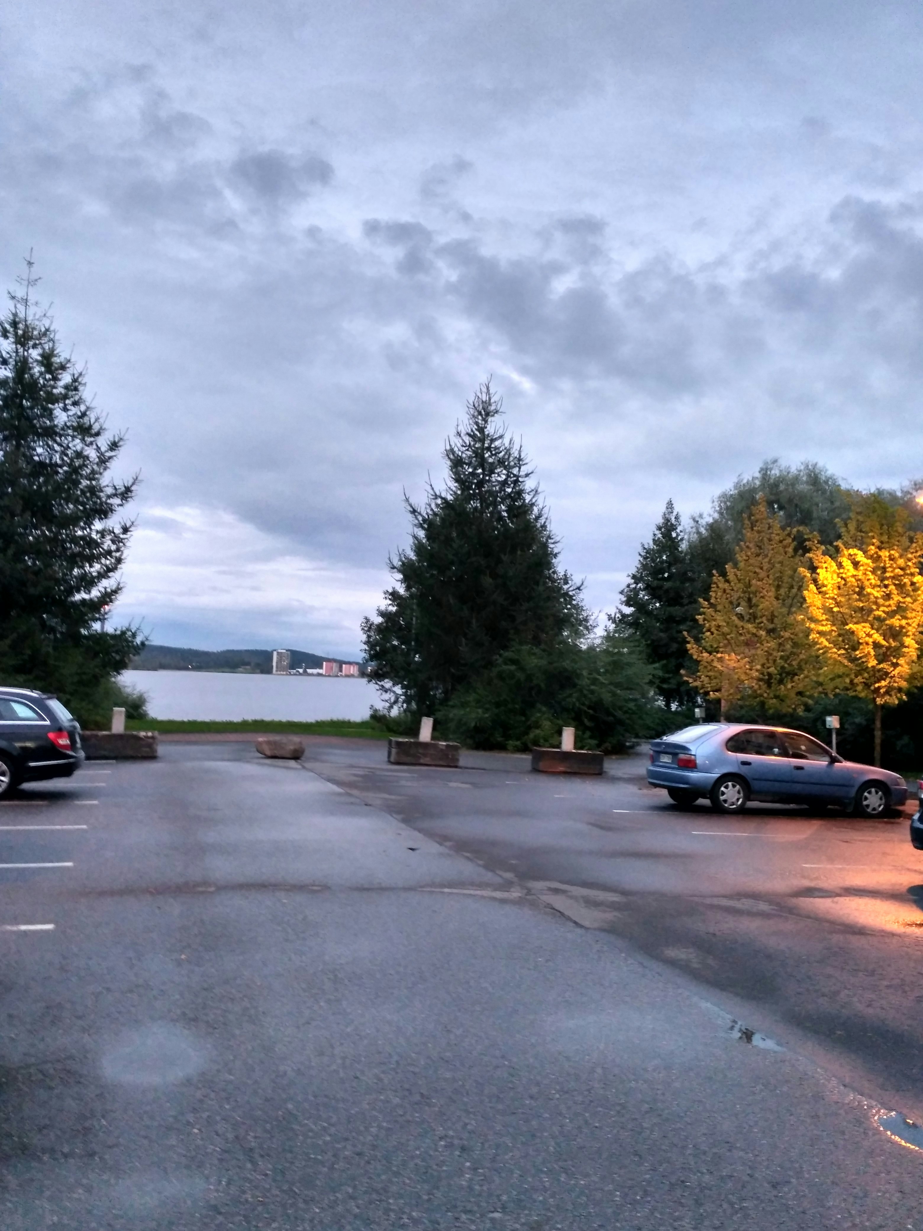 Free Unsplash photo from Dmitry  Bryksin