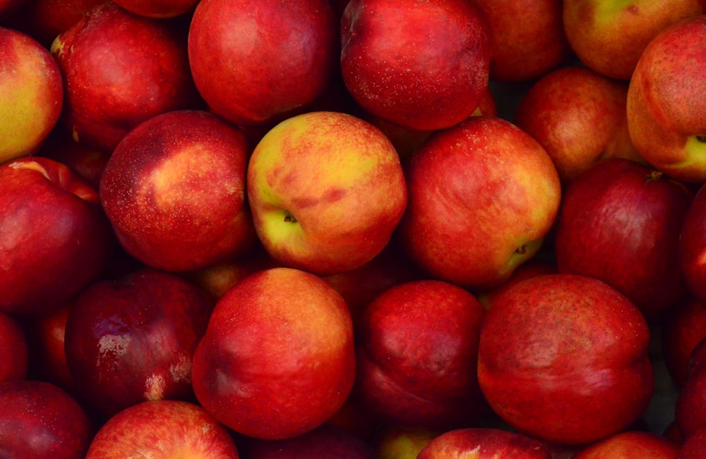 bouquet de pommes rouges