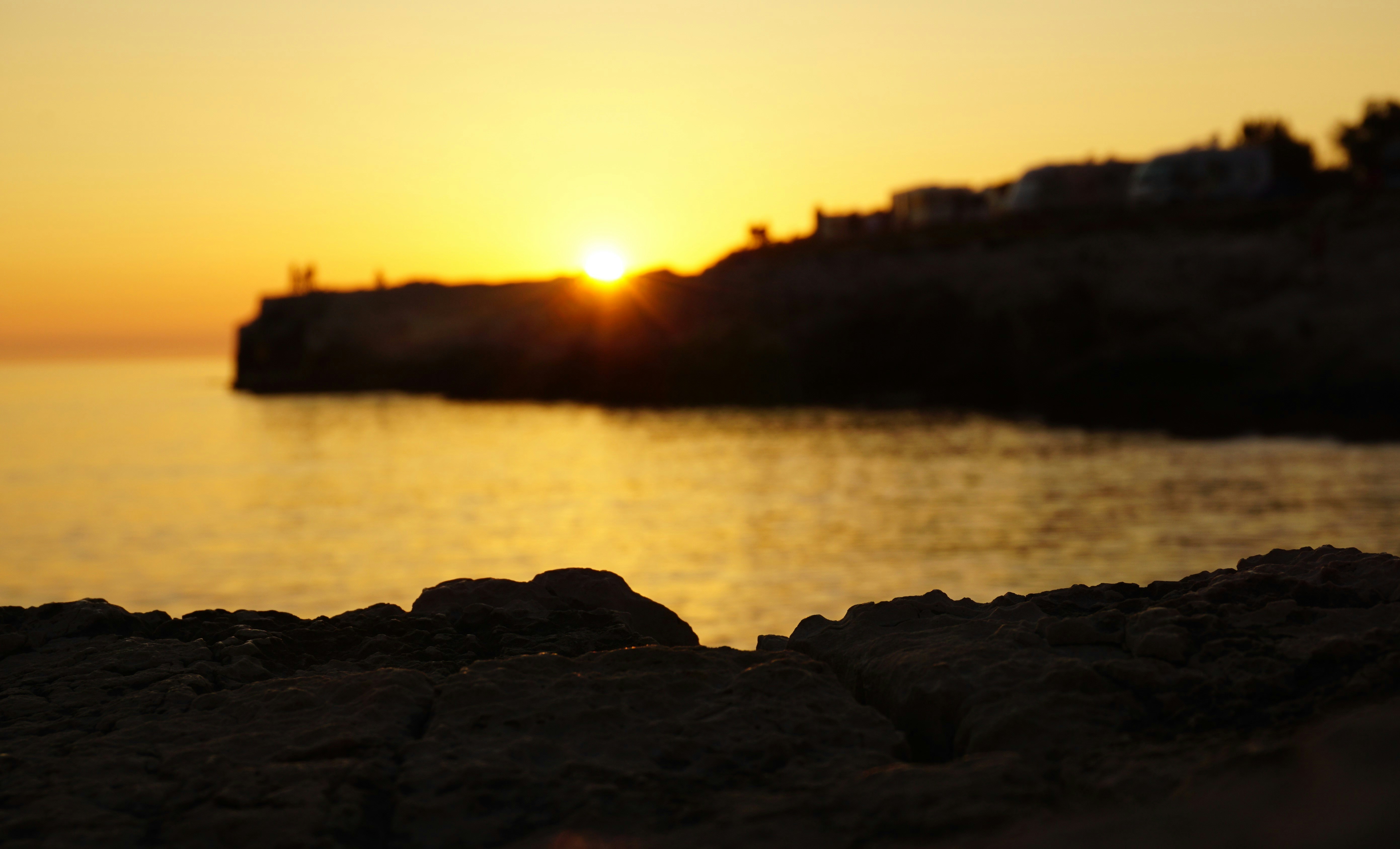 Free Unsplash photo from David D.