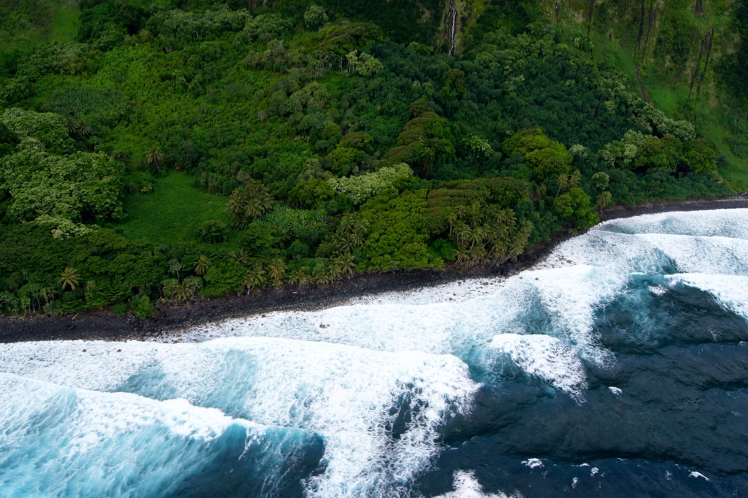 Watercourse photo spot Island of Hawai'i United States