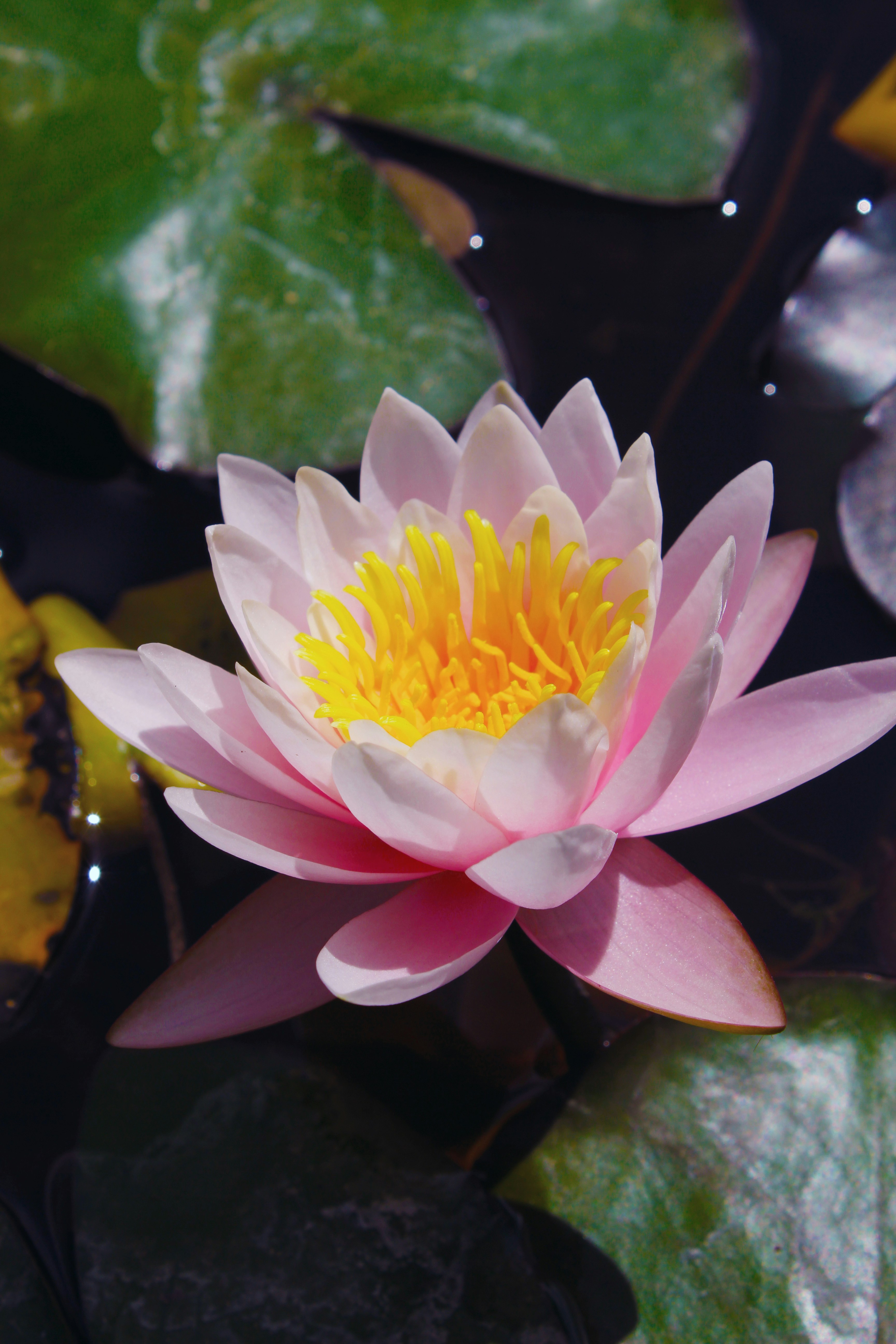 Free Unsplash photo from Marouan Baamel