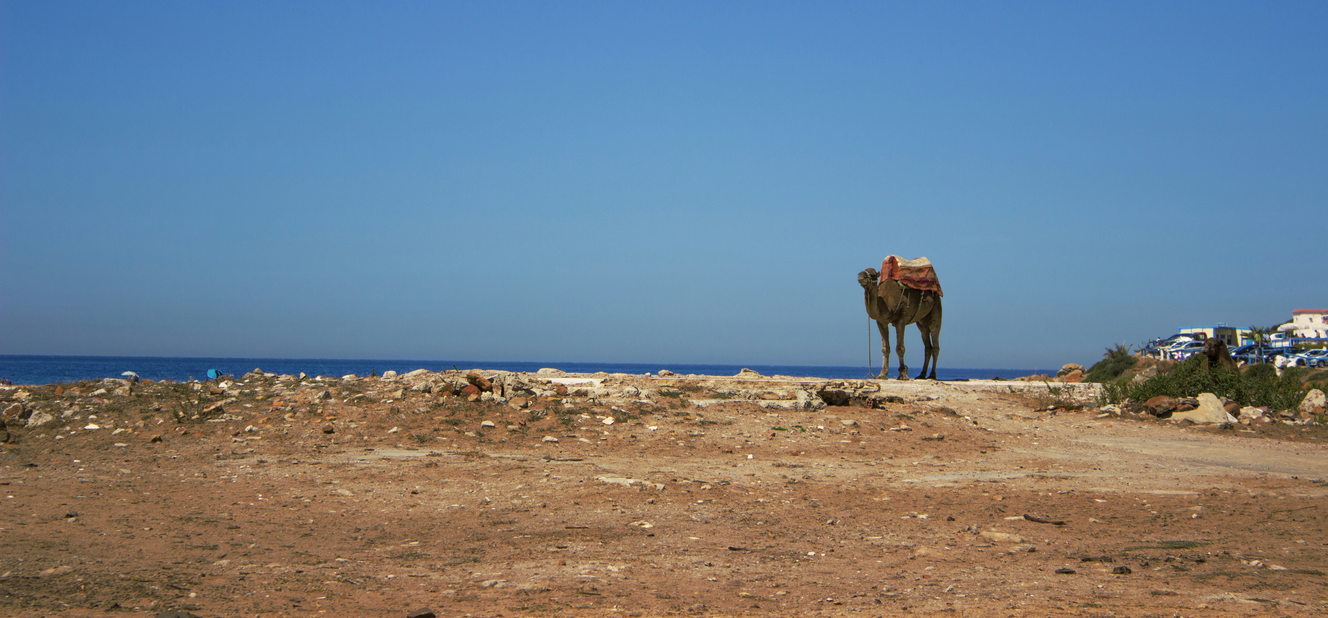 Free Unsplash photo from Marouan Baamel