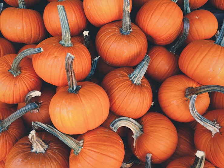 Small and medium pumpkins