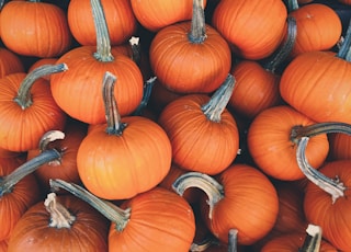 bunch of pumpkins