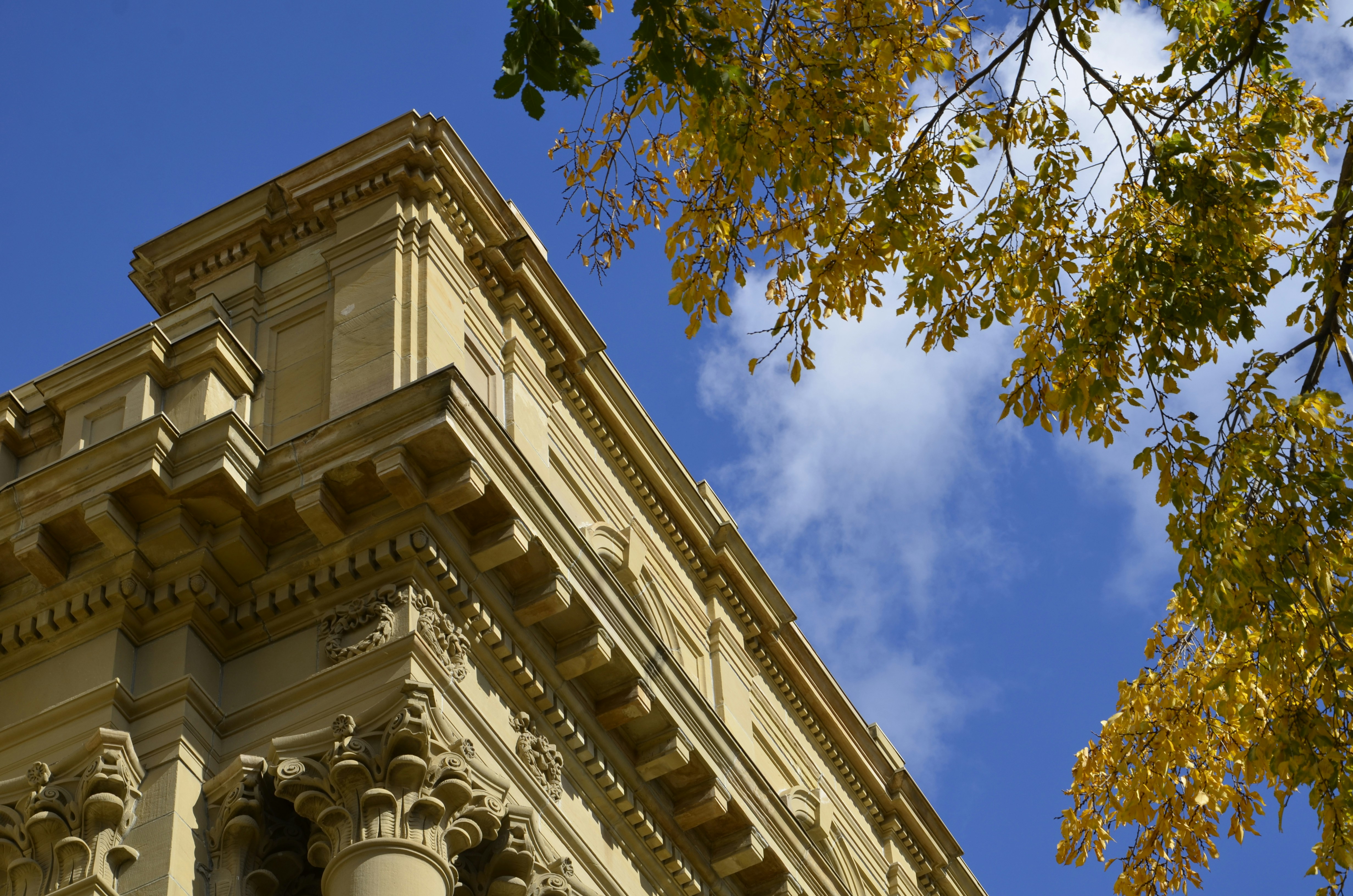 Free Unsplash photo from Martin Zhao