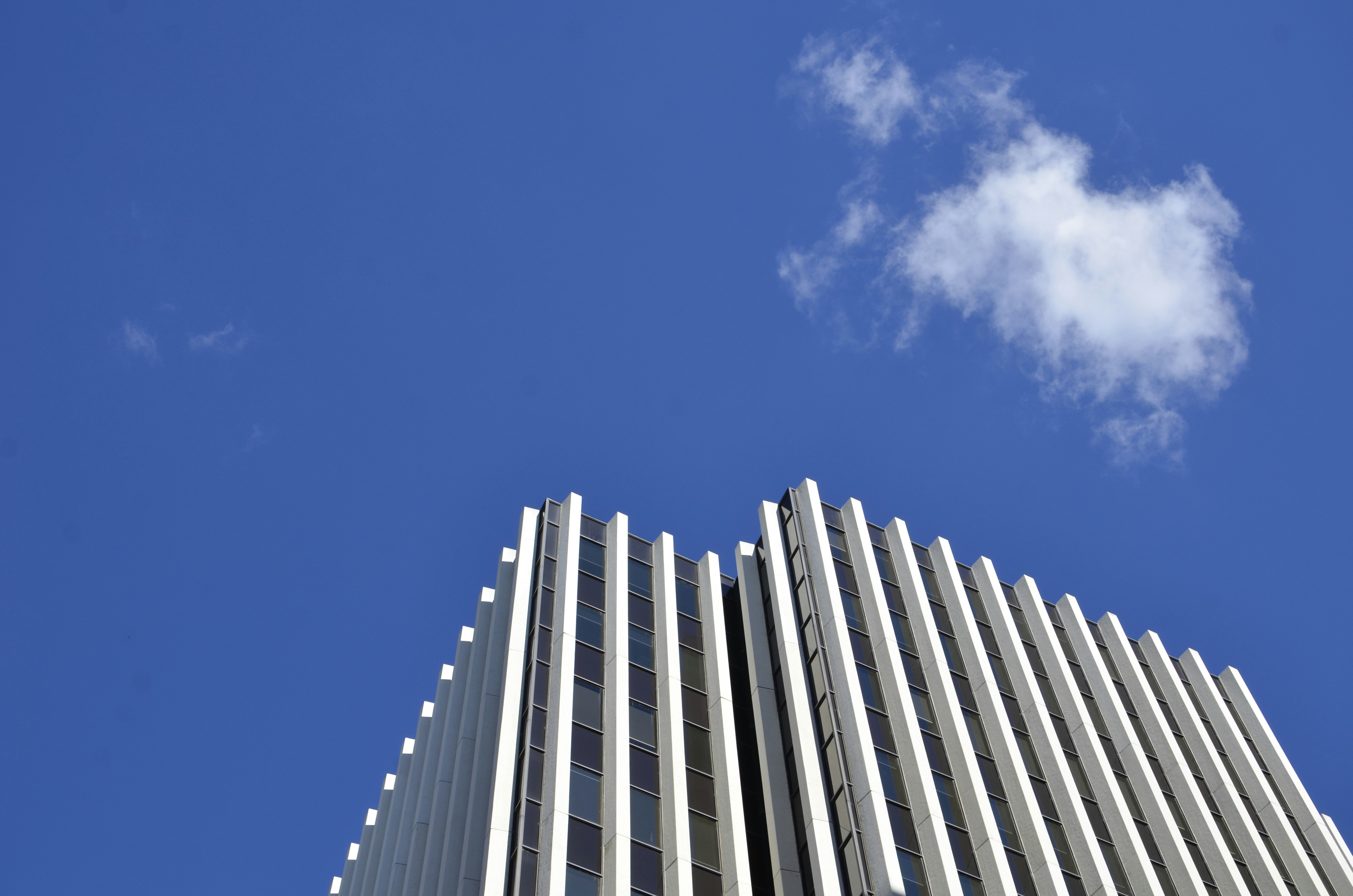 Free Unsplash photo from Martin Zhao