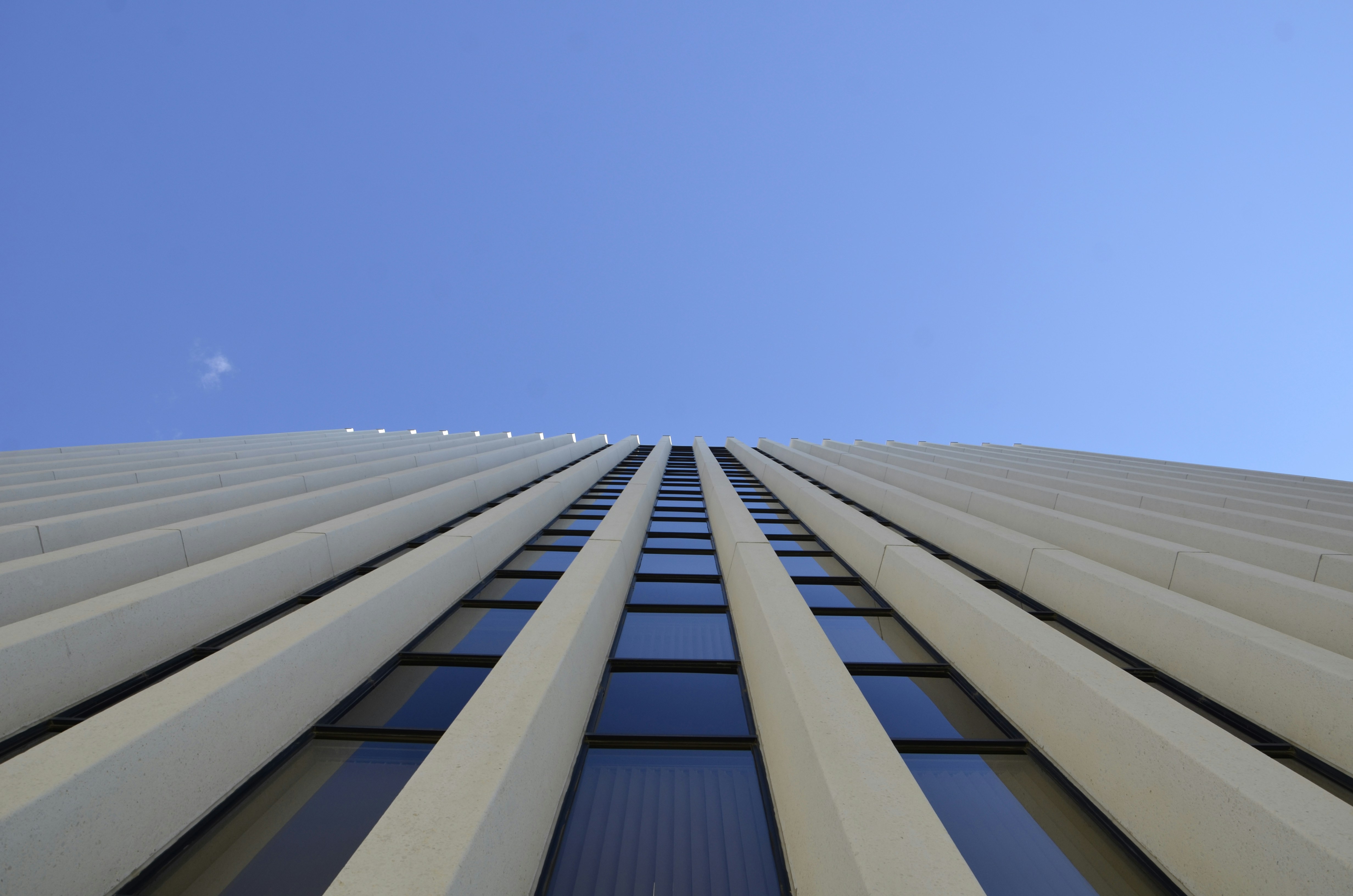 Free Unsplash photo from Martin Zhao