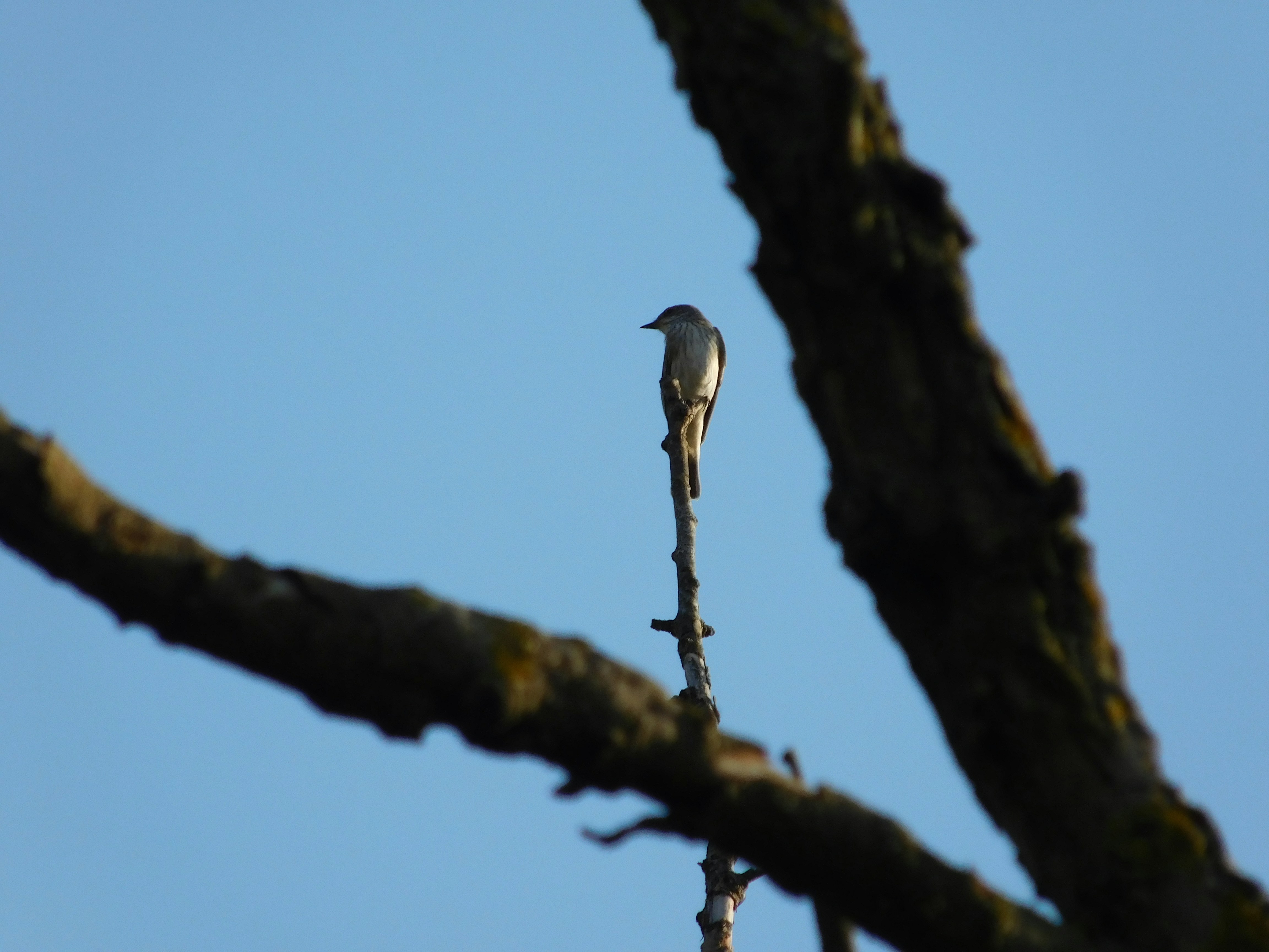 Free Unsplash photo from Diana Demeter