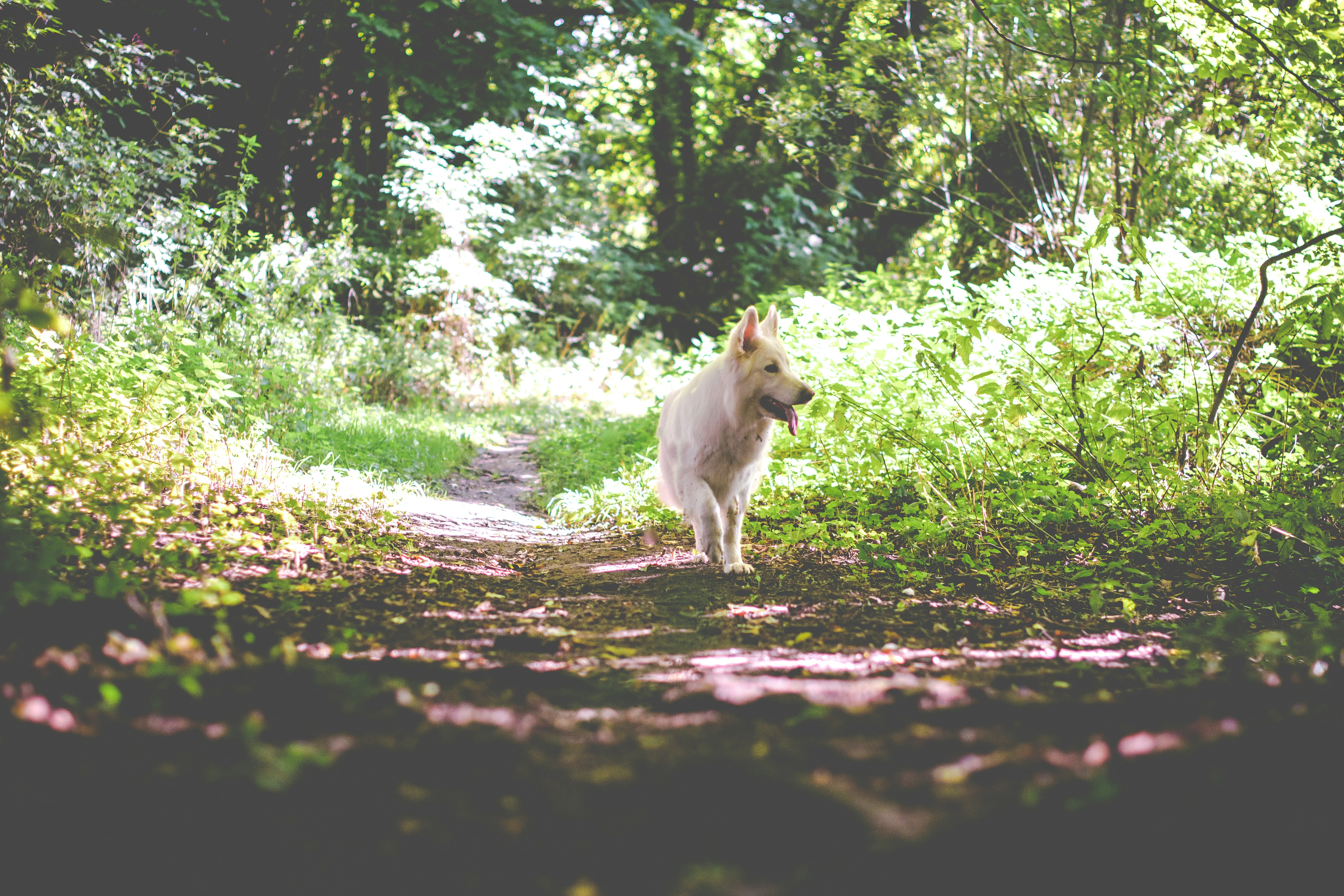 Free Unsplash photo from Ben Hanson